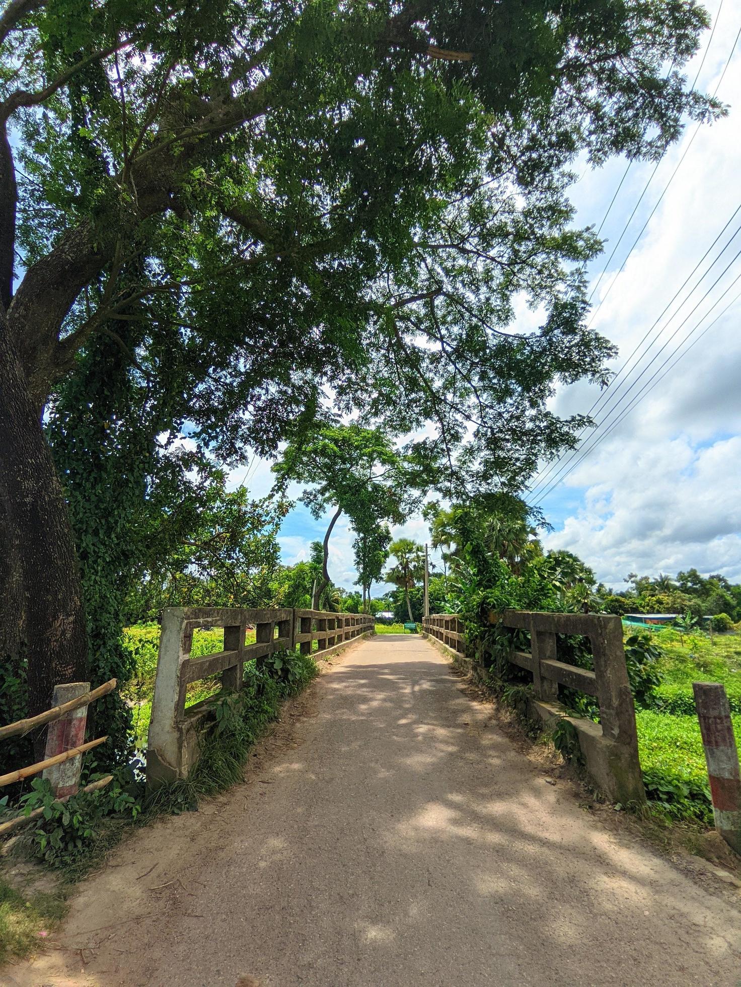 Natural beauty photo in rural area, Bangladesh. Stock Free