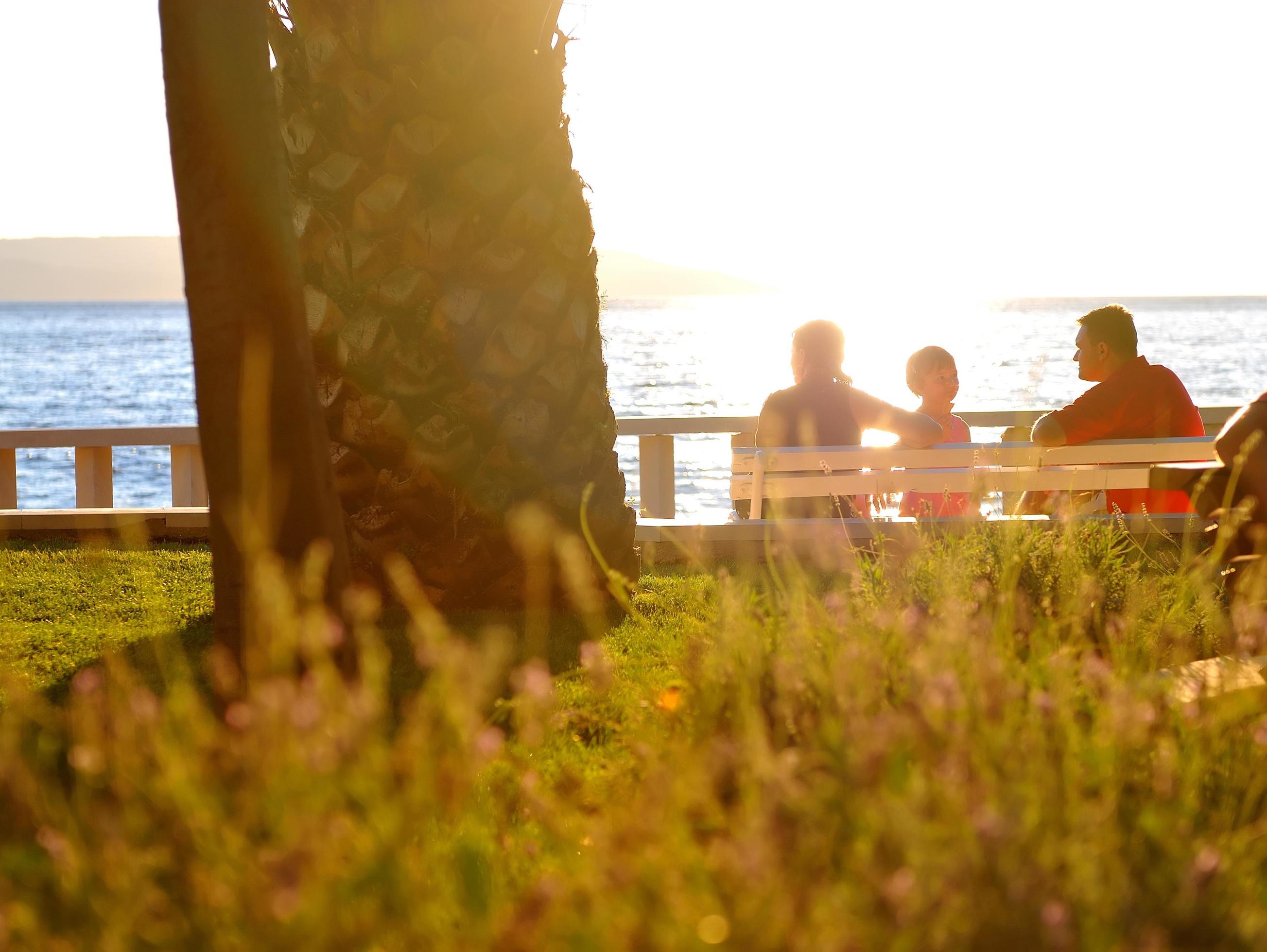 Happy family watching sunset on the beach Stock Free