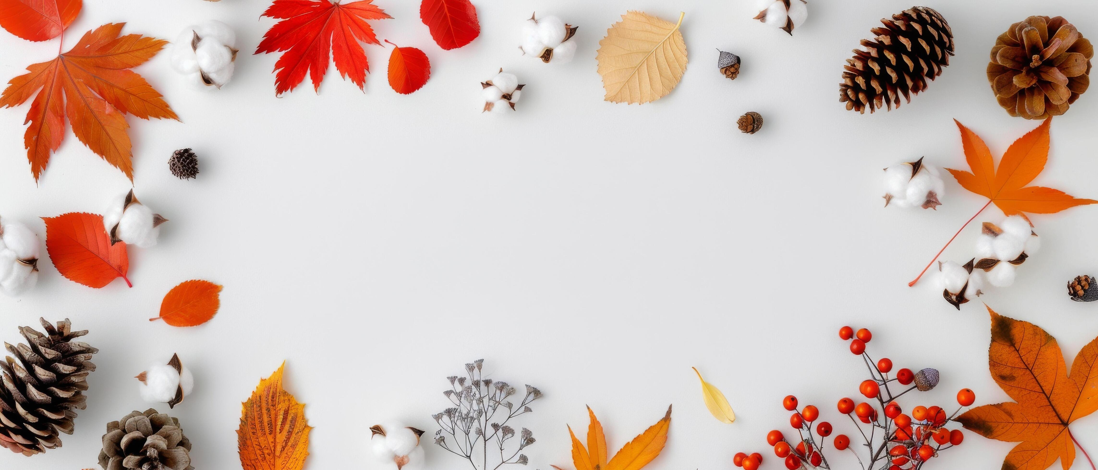 Autumnal Pinecones, Cotton, and Leaves on White Background Stock Free