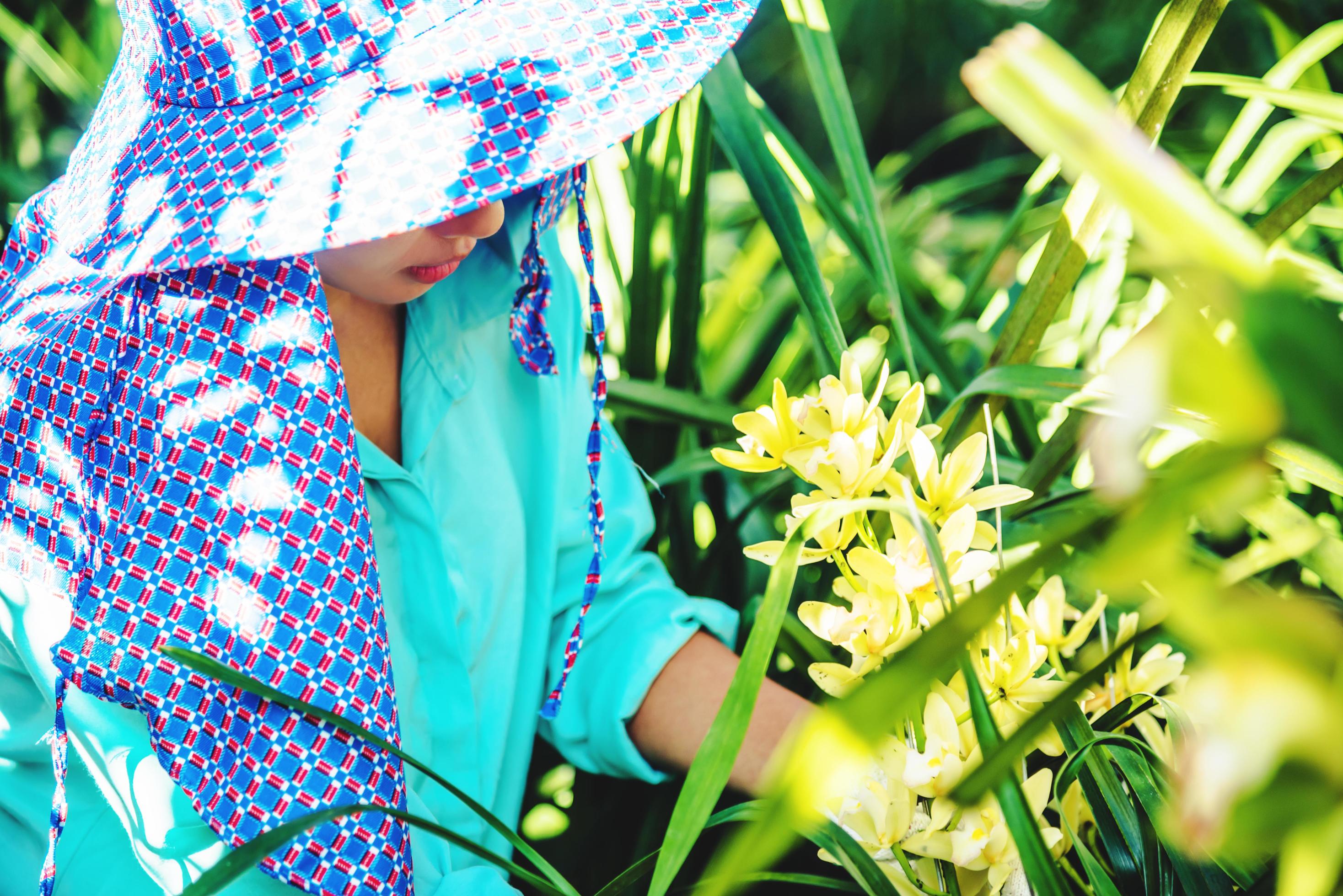 The young woman worker is taking care of the orchid flower in garden. Cymbidium orchid yellow. Stock Free