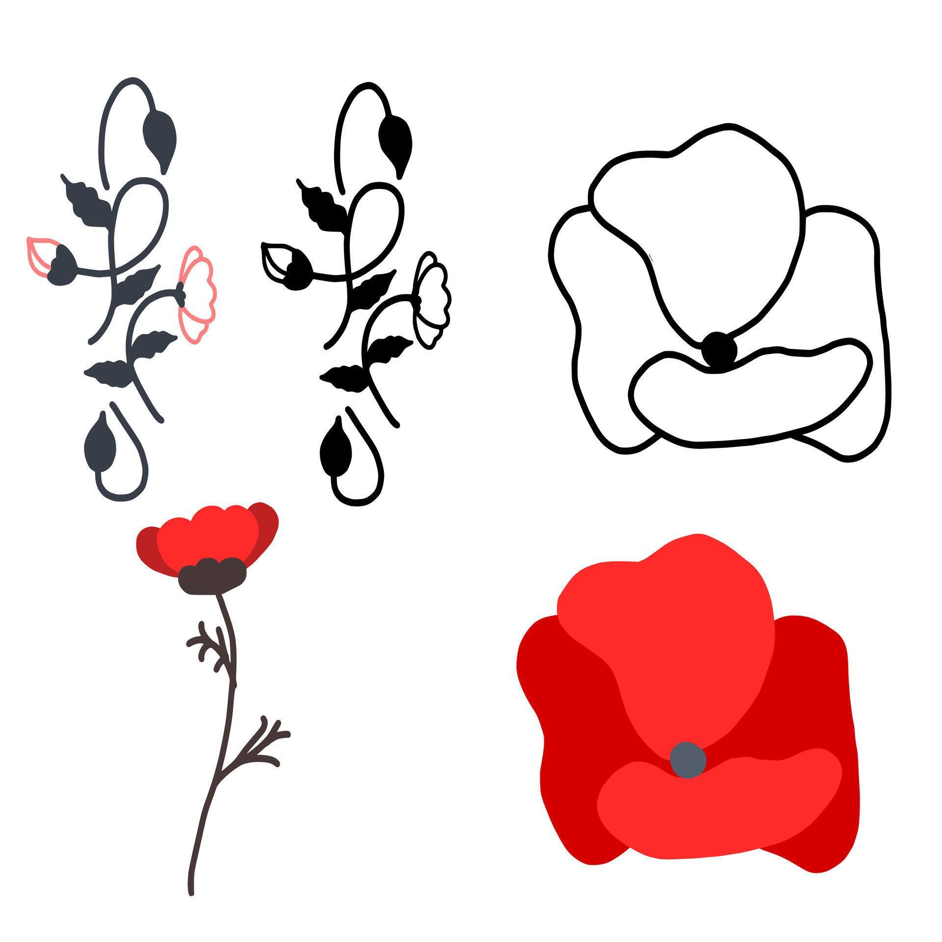 Poppy Flowers Set Illustration Vector Image Pro Vector and Pro SVG