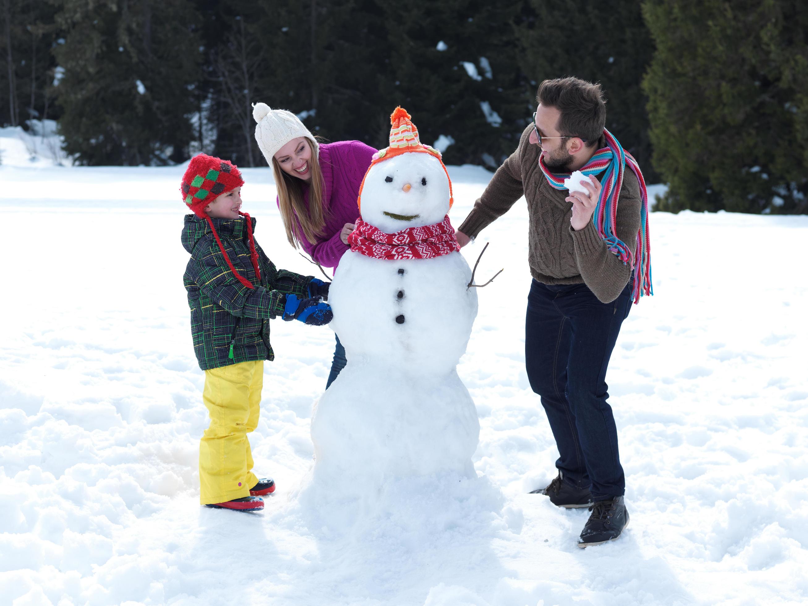 Winter family fun Stock Free