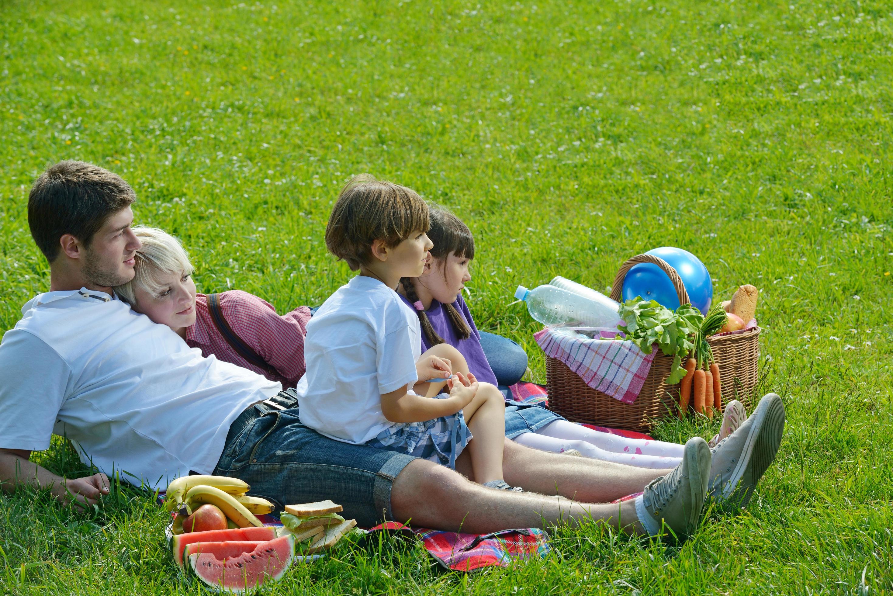 Happy family playing together in a picnic outdoors Stock Free