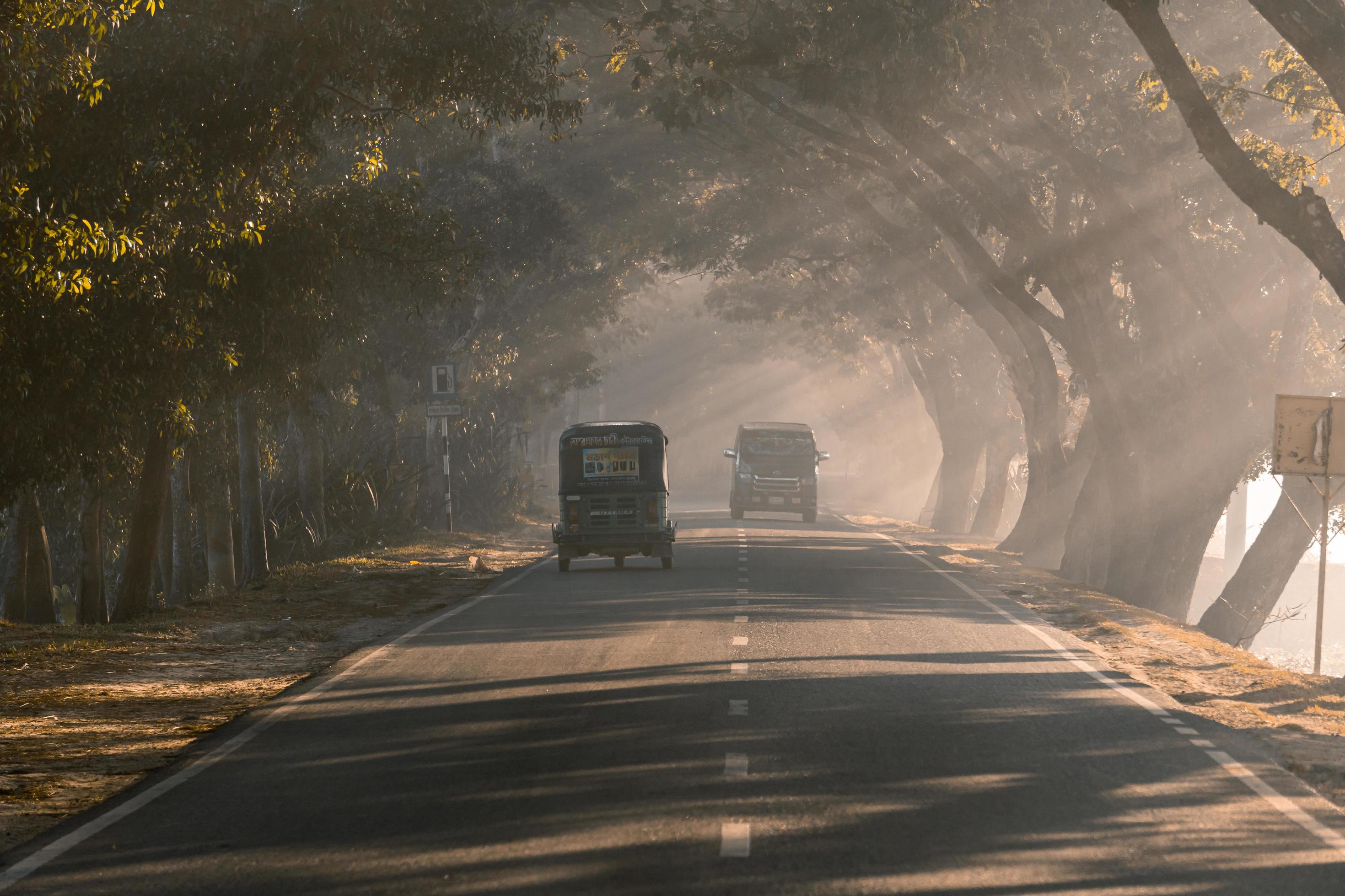 driving through the foggy road Stock Free