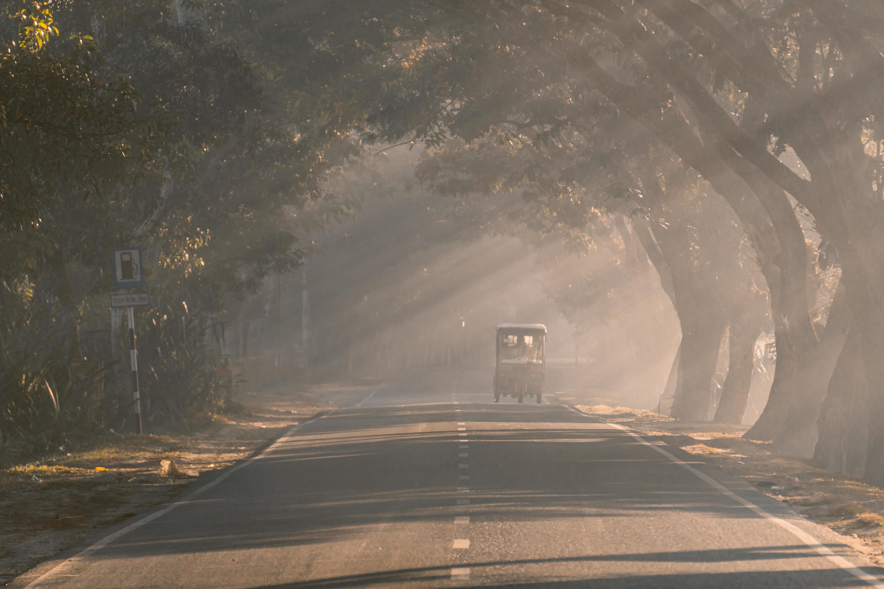 driving through the foggy road Stock Free