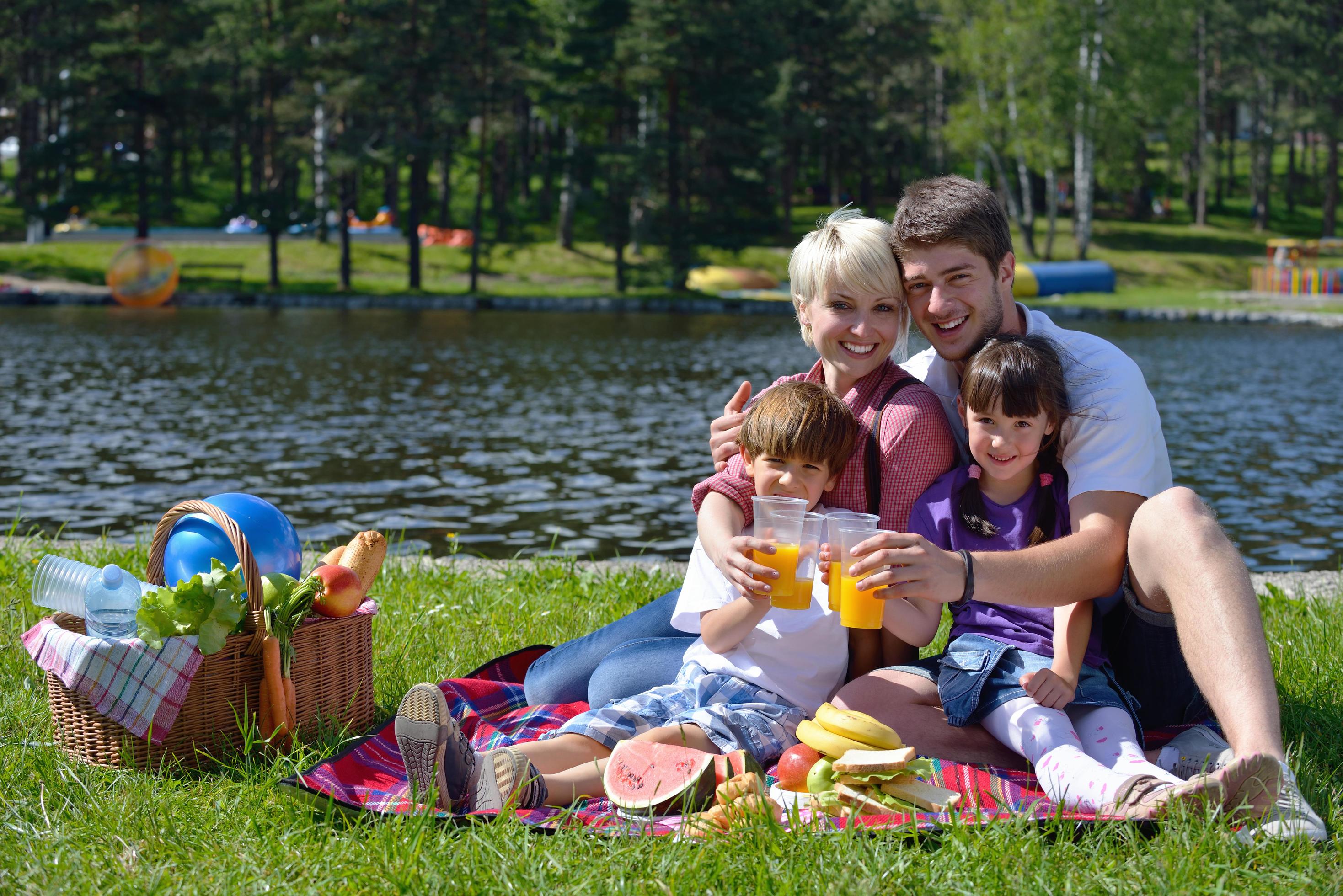 Happy family playing together in a picnic outdoors Stock Free