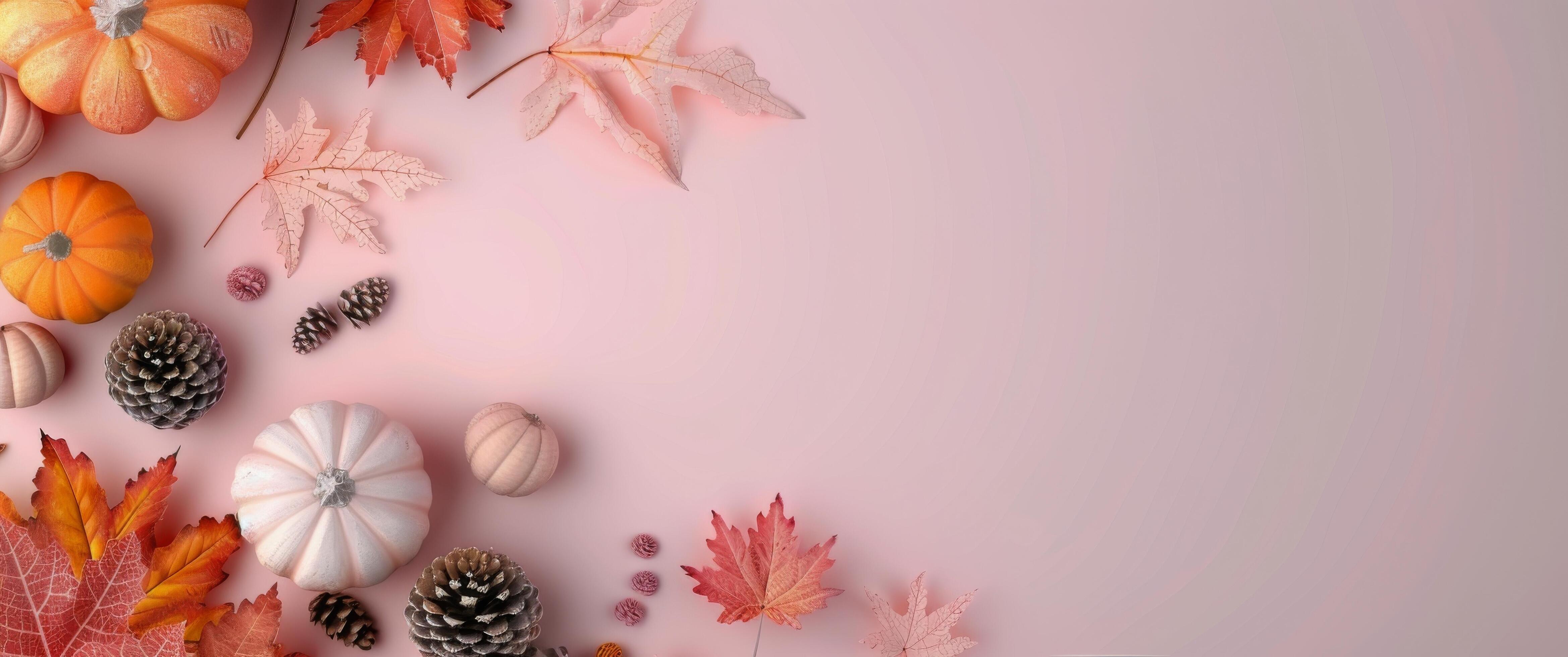 Autumn Decor on Pink Background Stock Free