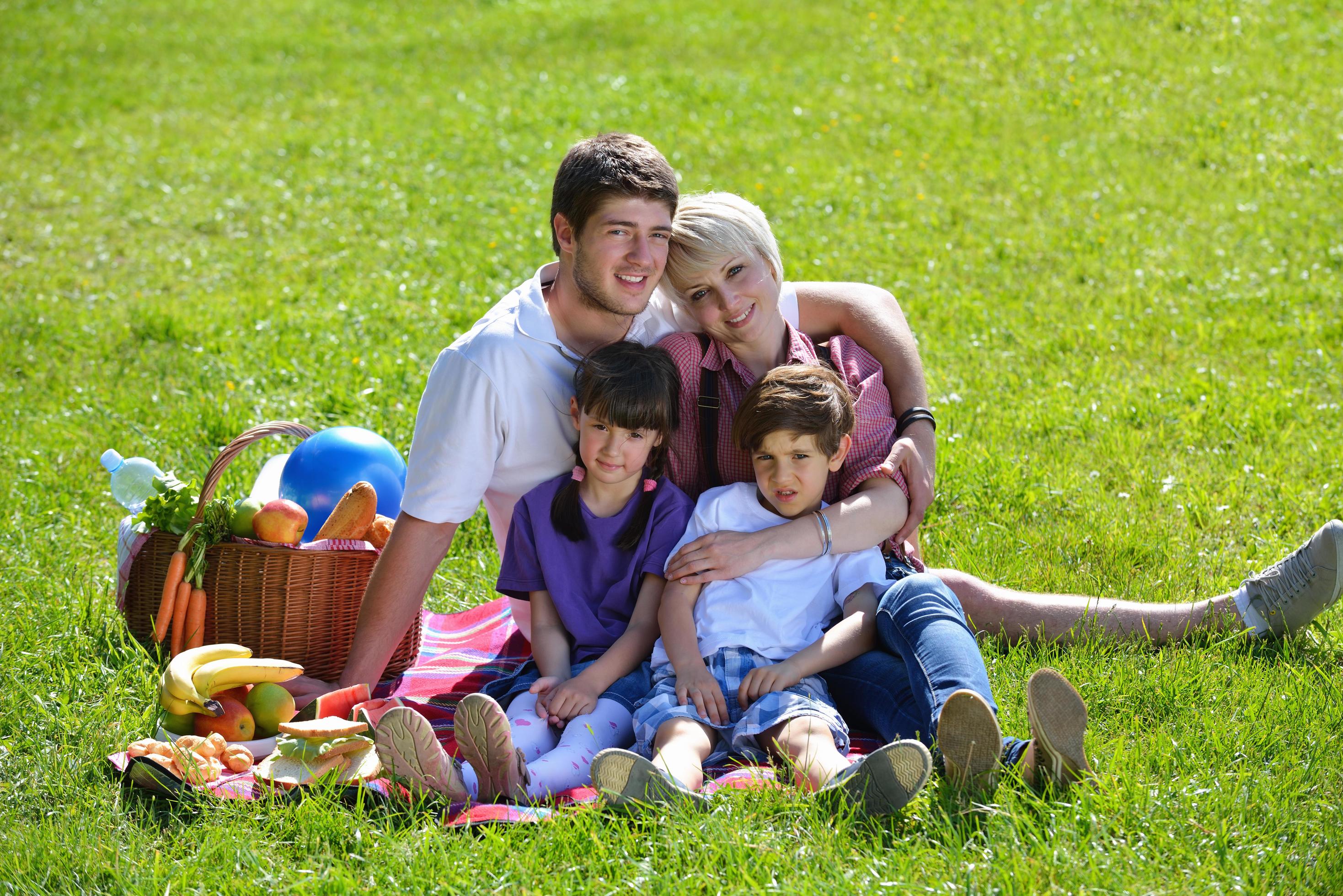 Happy family playing together in a picnic outdoors Stock Free