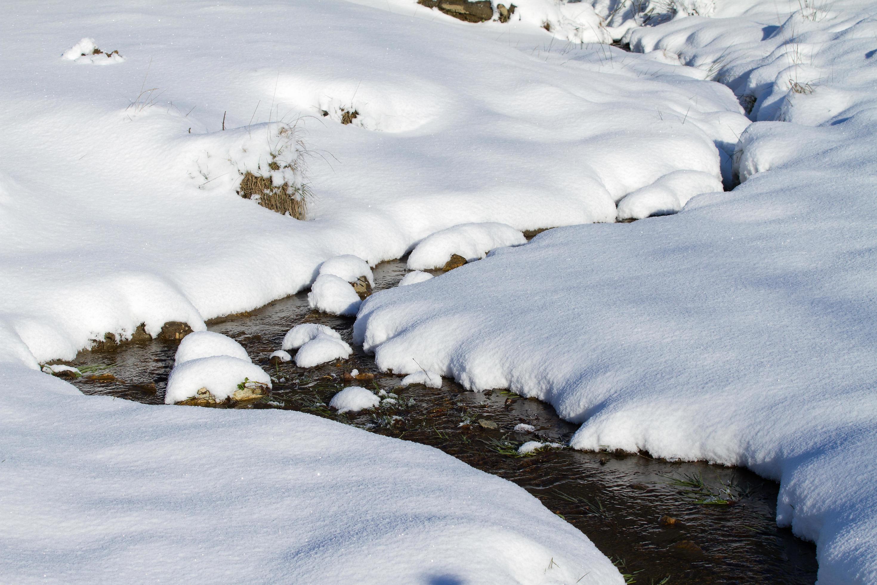 Snowy Creek in nature Stock Free