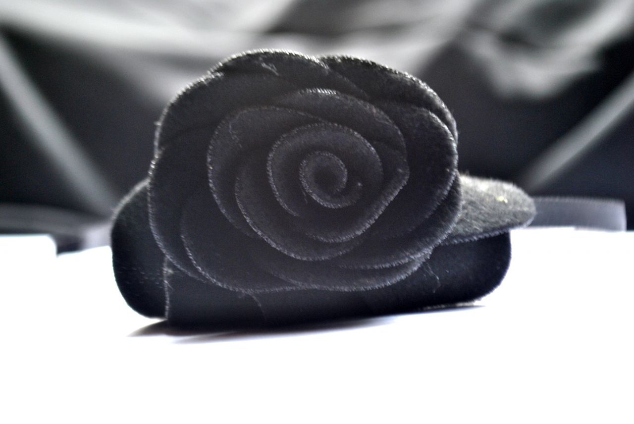 Black Rose Stock Free