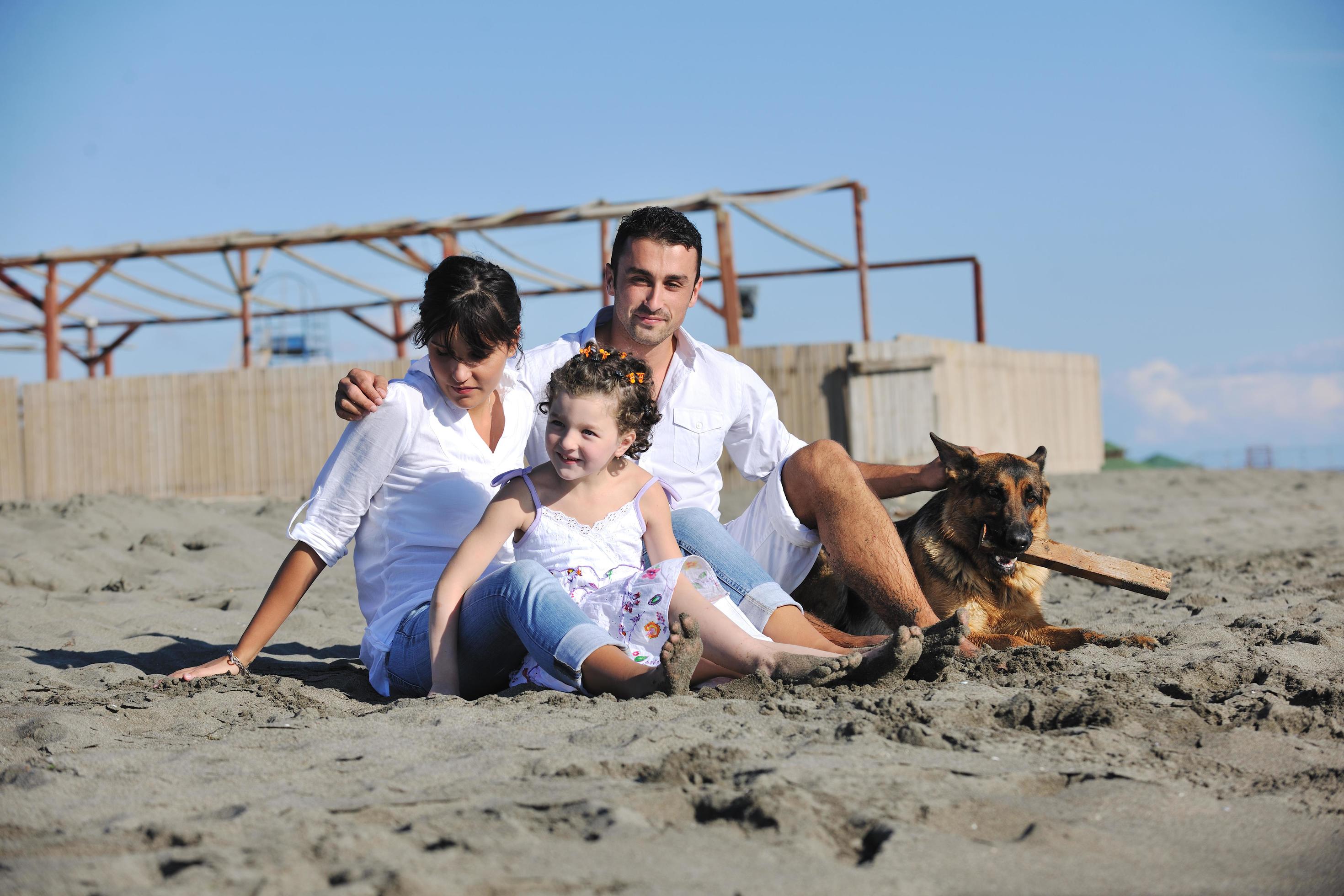 happy family playing with dog on beach Stock Free