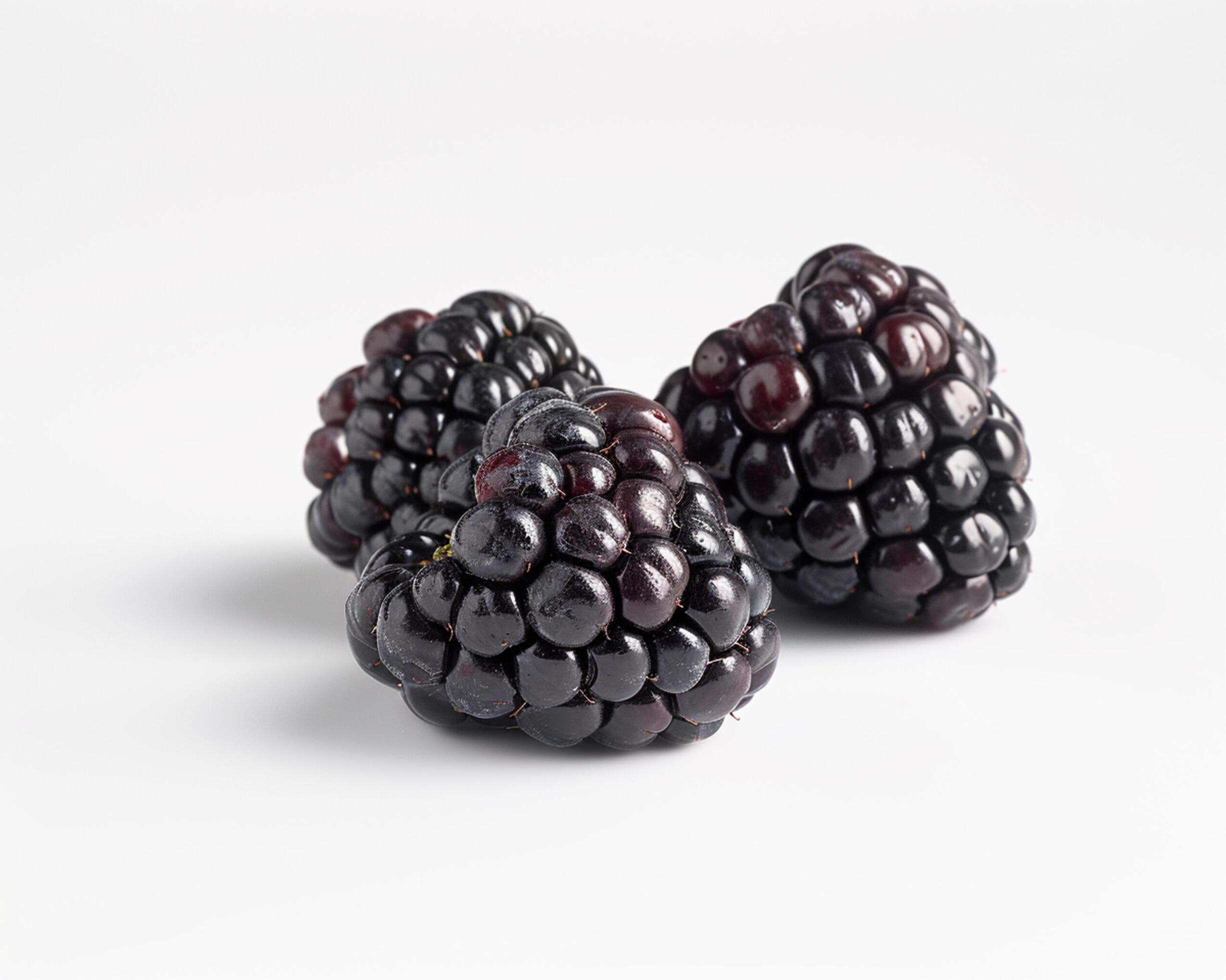 Three blackberries on a white background Stock Free