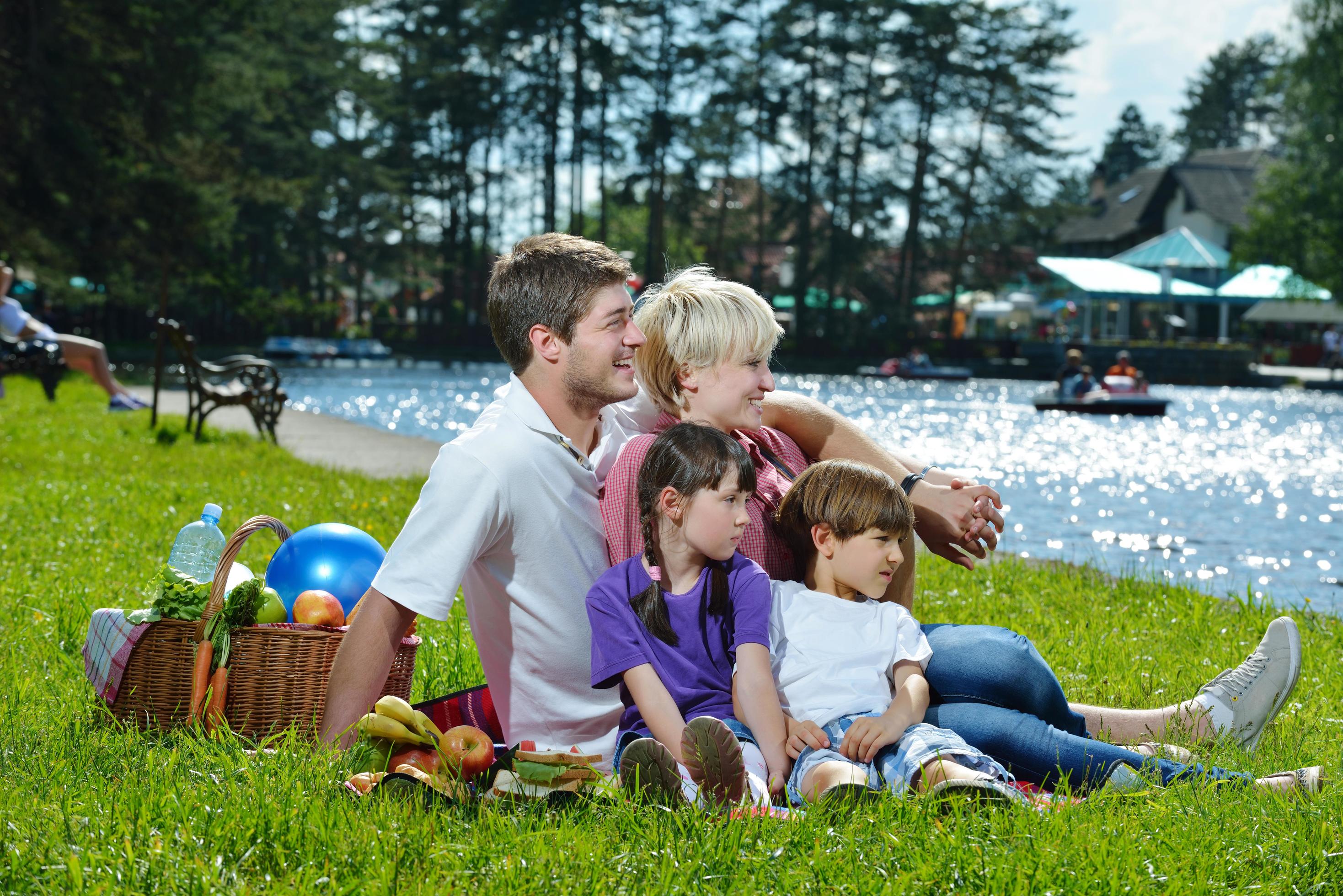 Happy family playing together in a picnic outdoors Stock Free