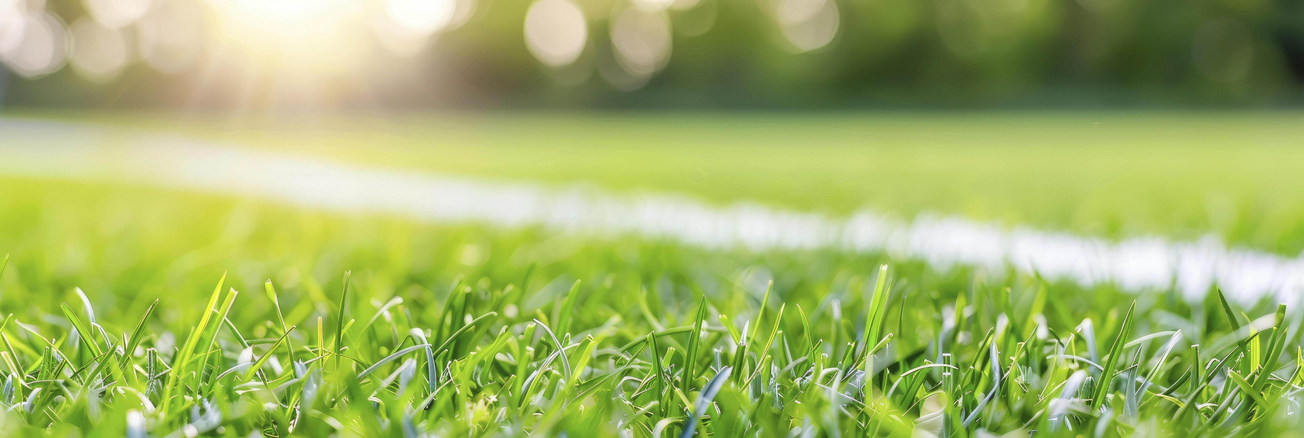 closeup of green soccer field with white stripes with blur sunlight background Stock Free