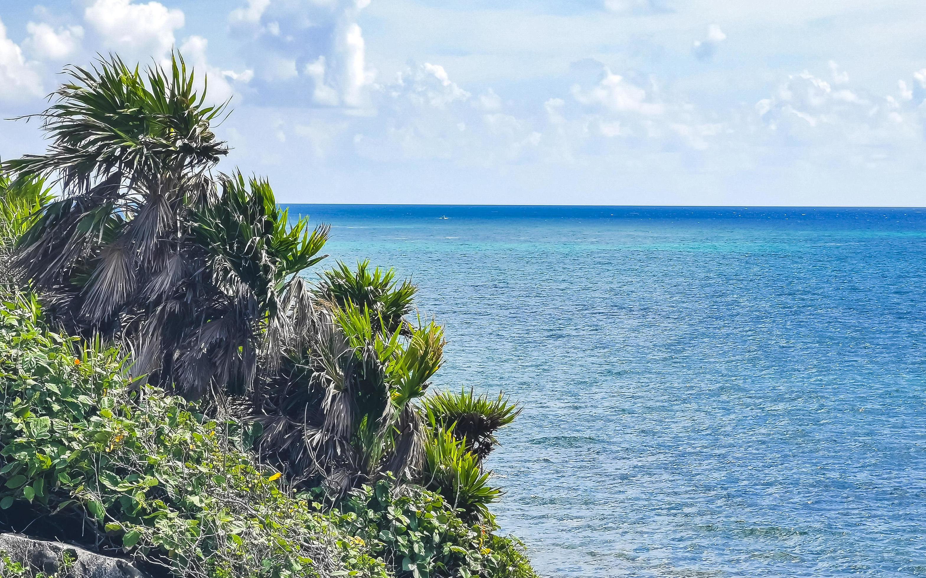 Natural seascape panorama view Tulum ruins Mayan site temple Mexico. Stock Free