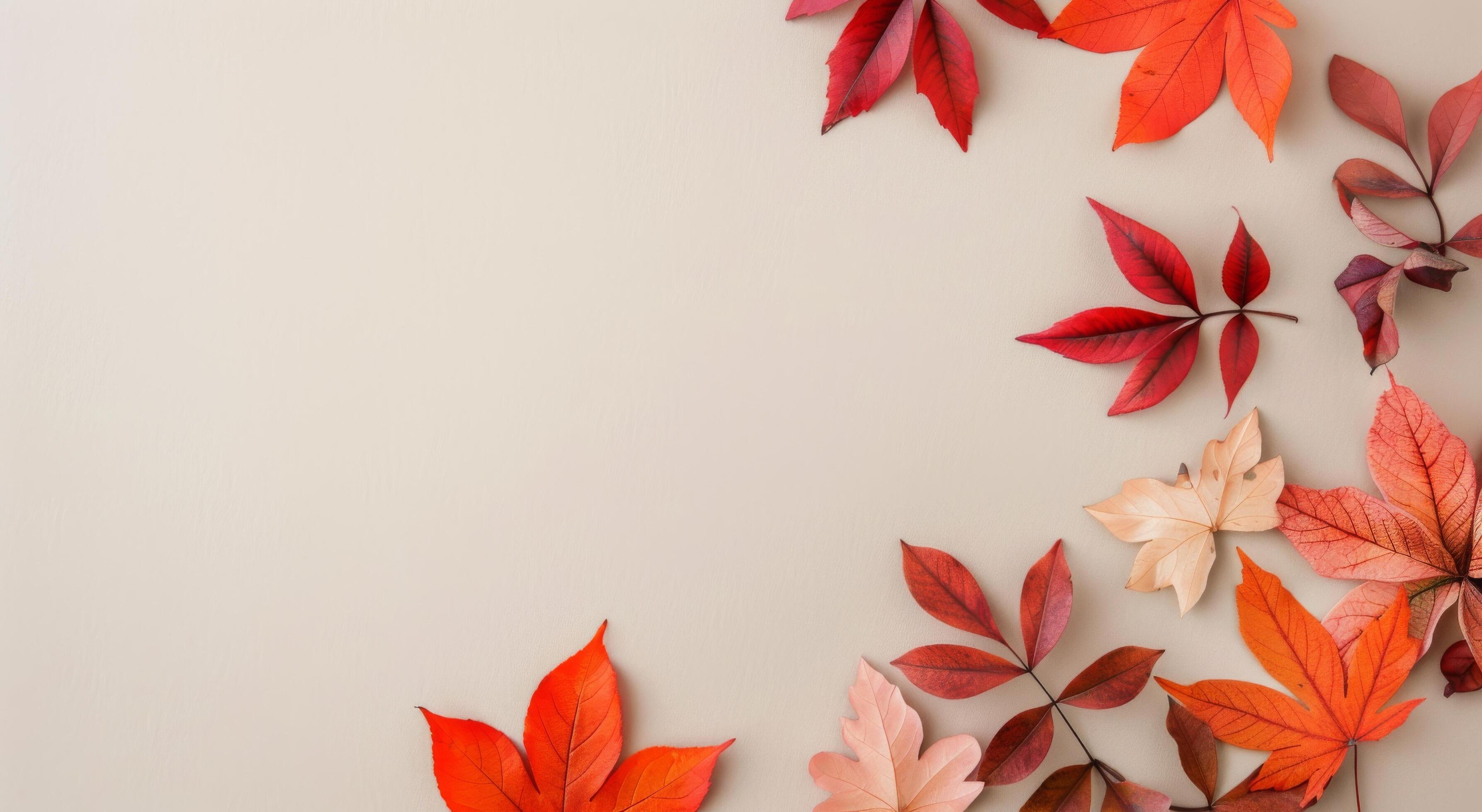 Pink Flowers and Leaves on Peach Background Stock Free