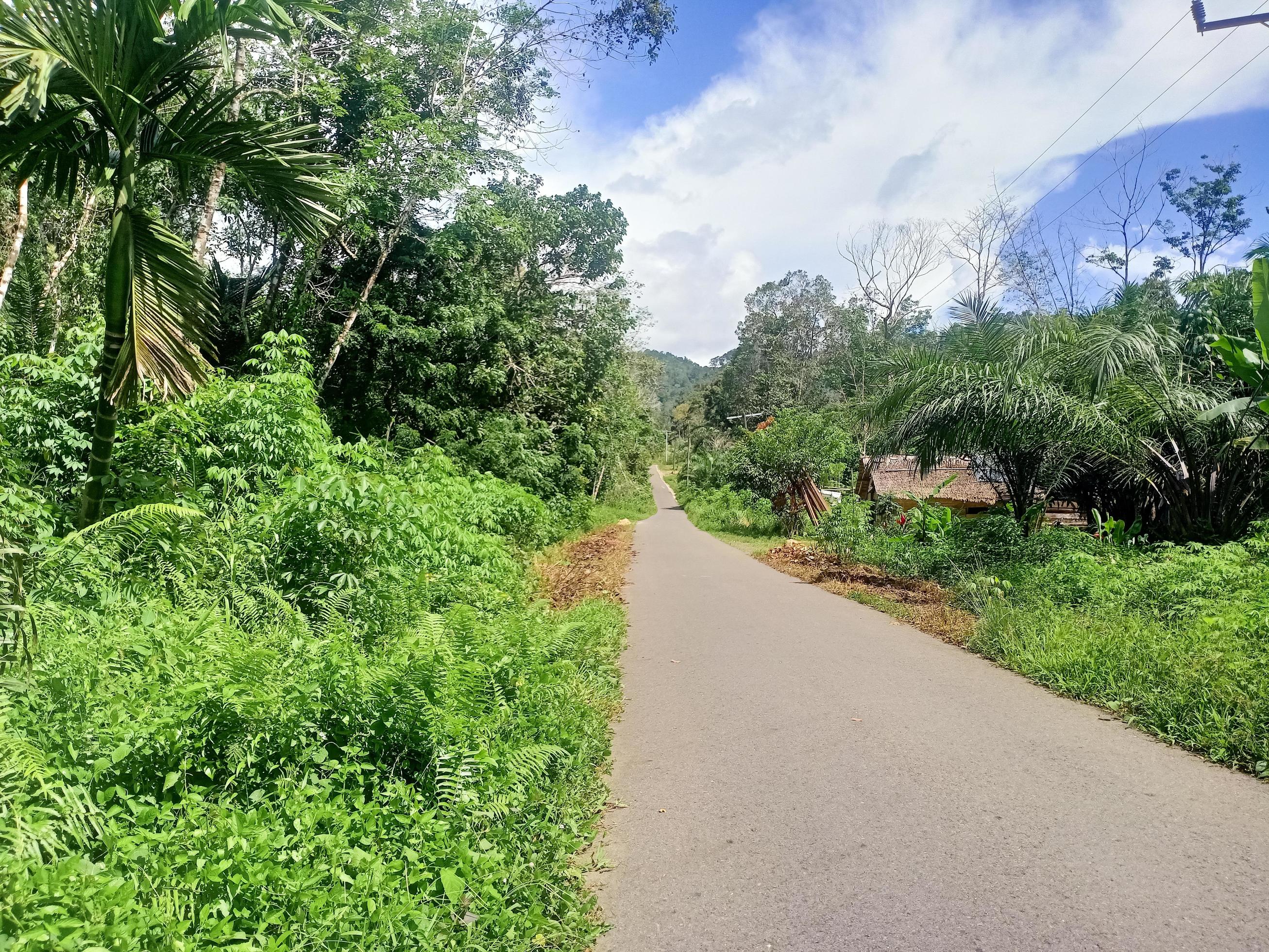 beautiful view clear blue sky and lots of natural green trees Stock Free