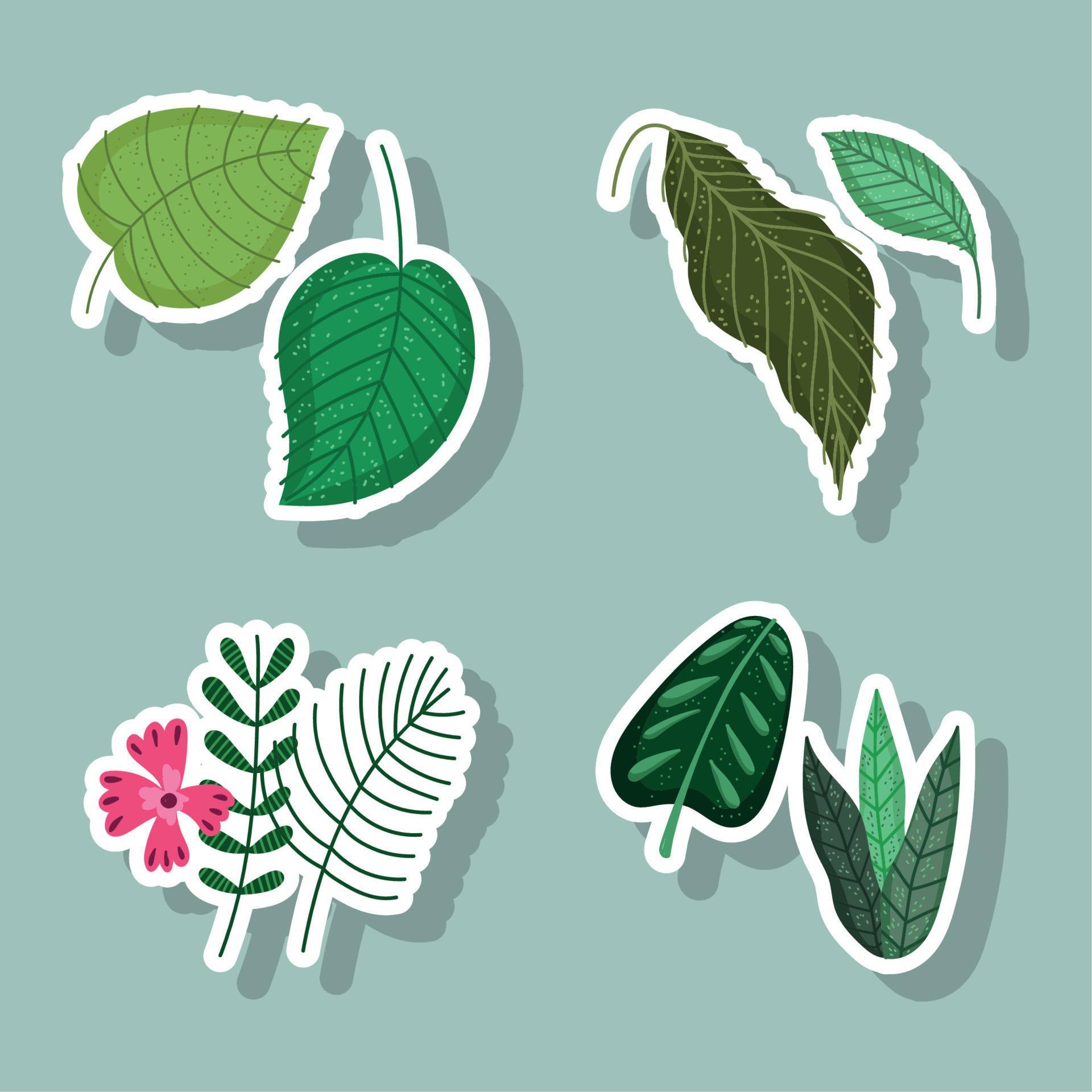 leaves flower branch nature foliage floral cartoon icons stickers Stock Free