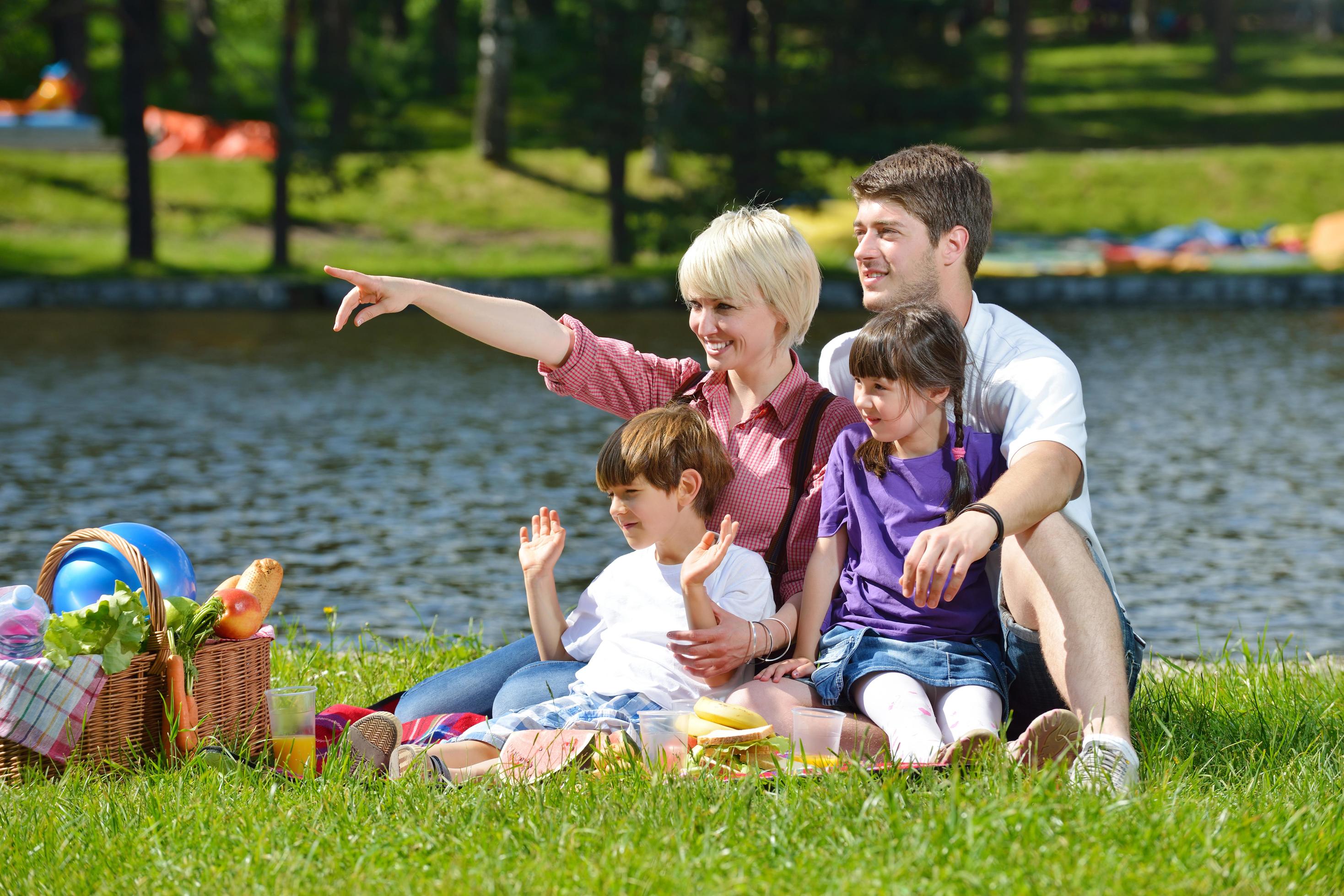 Happy family playing together in a picnic outdoors Stock Free