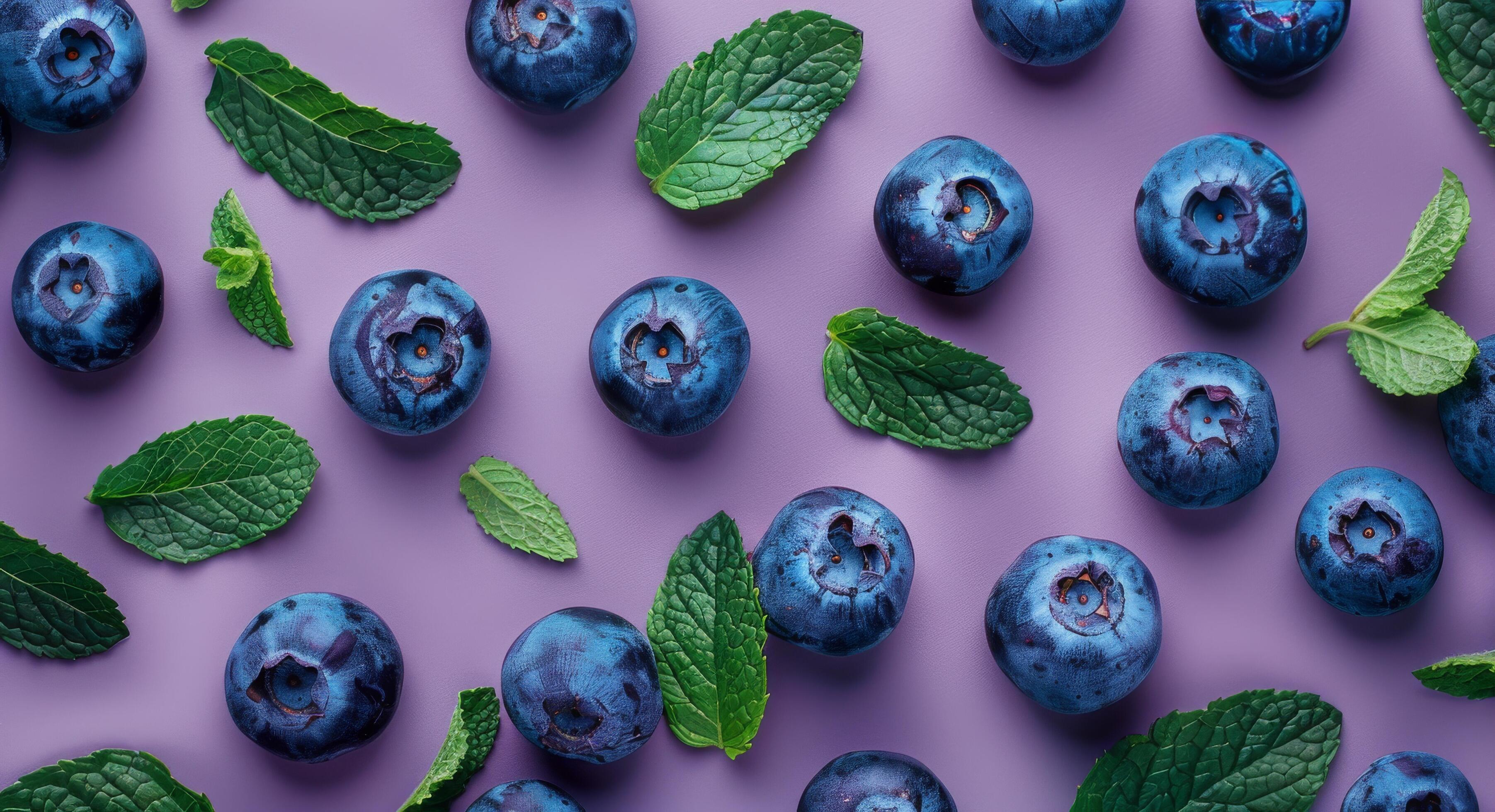 Blueberries and Mint on Purple Background Stock Free