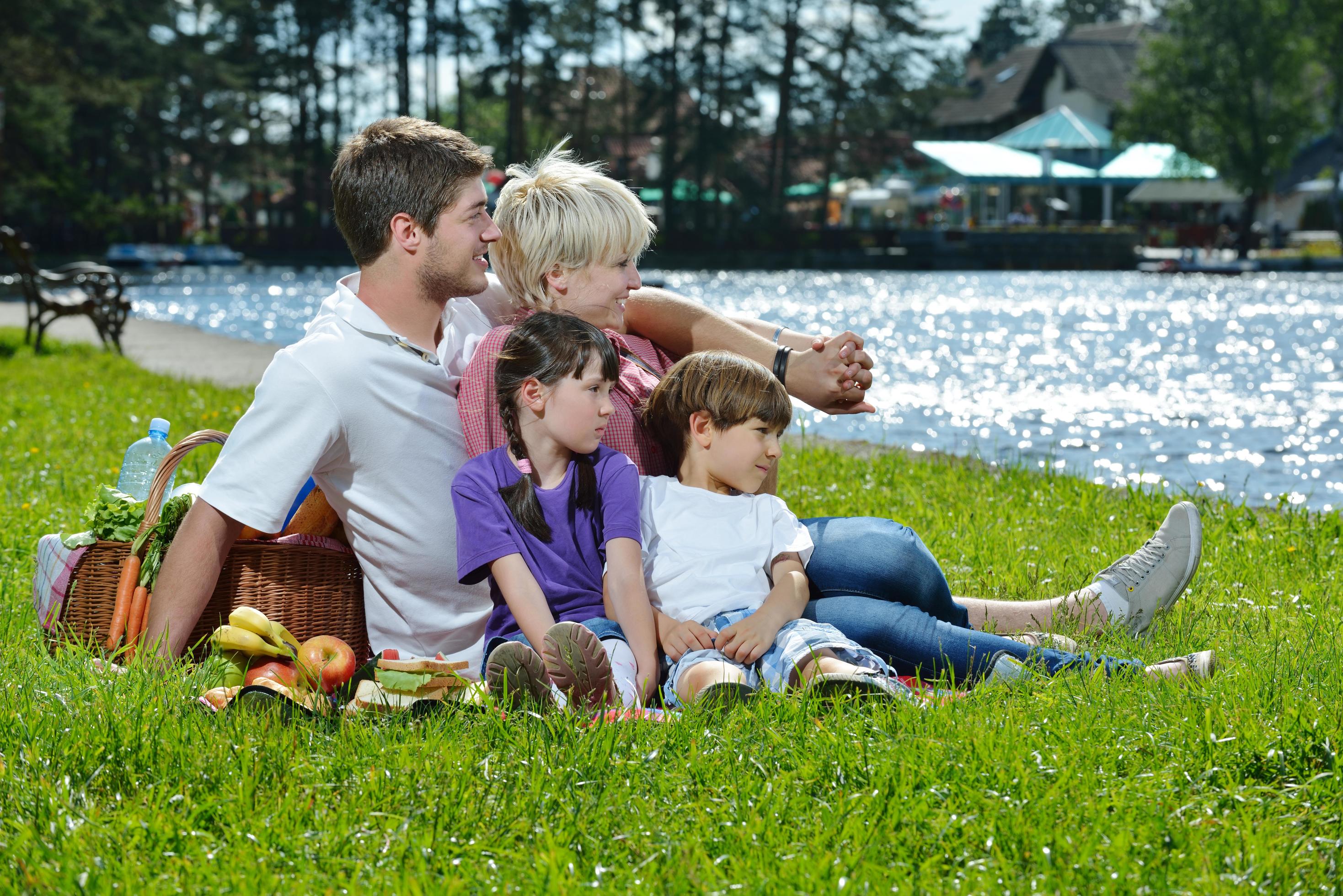 Happy family playing together in a picnic outdoors Stock Free