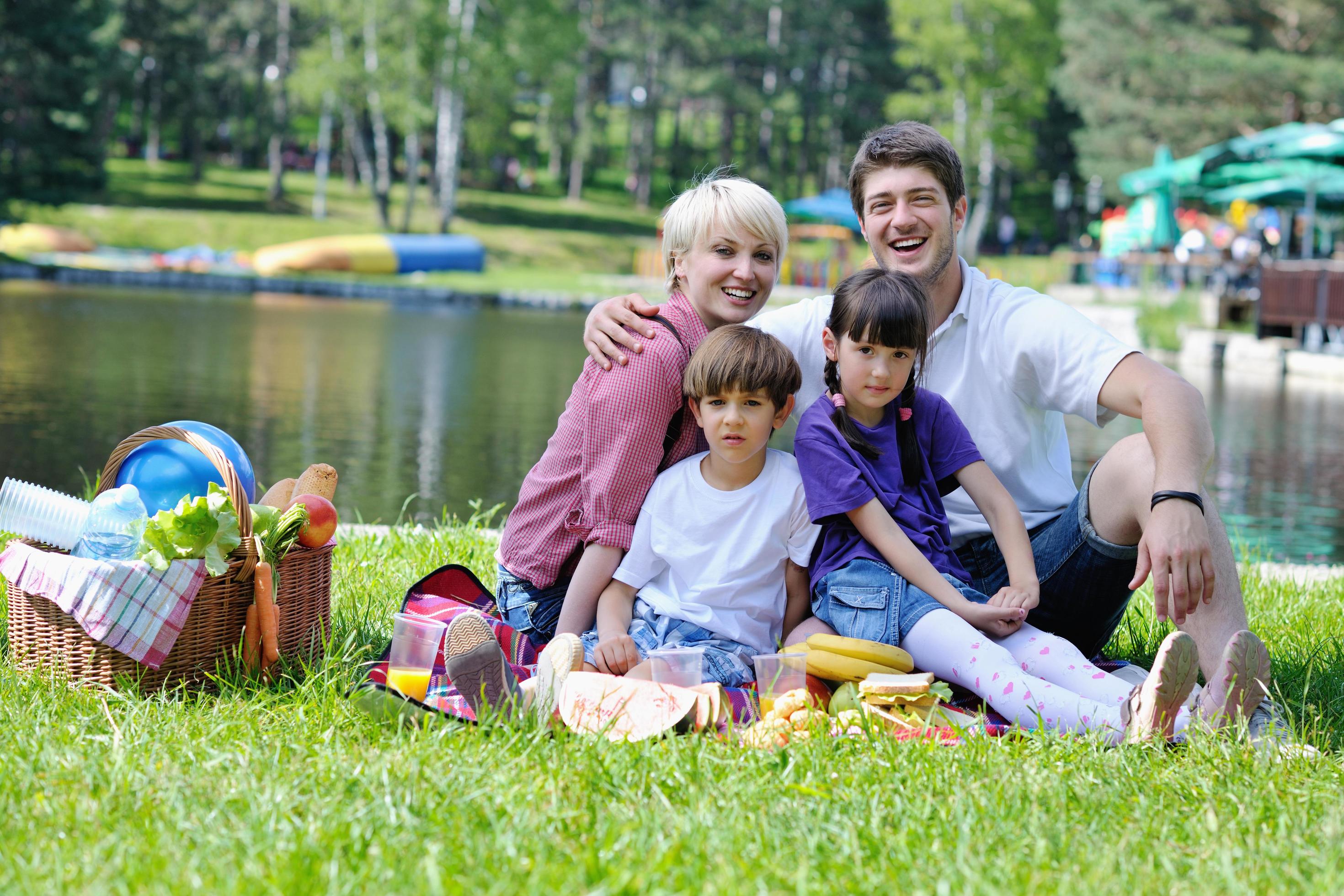 Happy family playing together in a picnic outdoors Stock Free