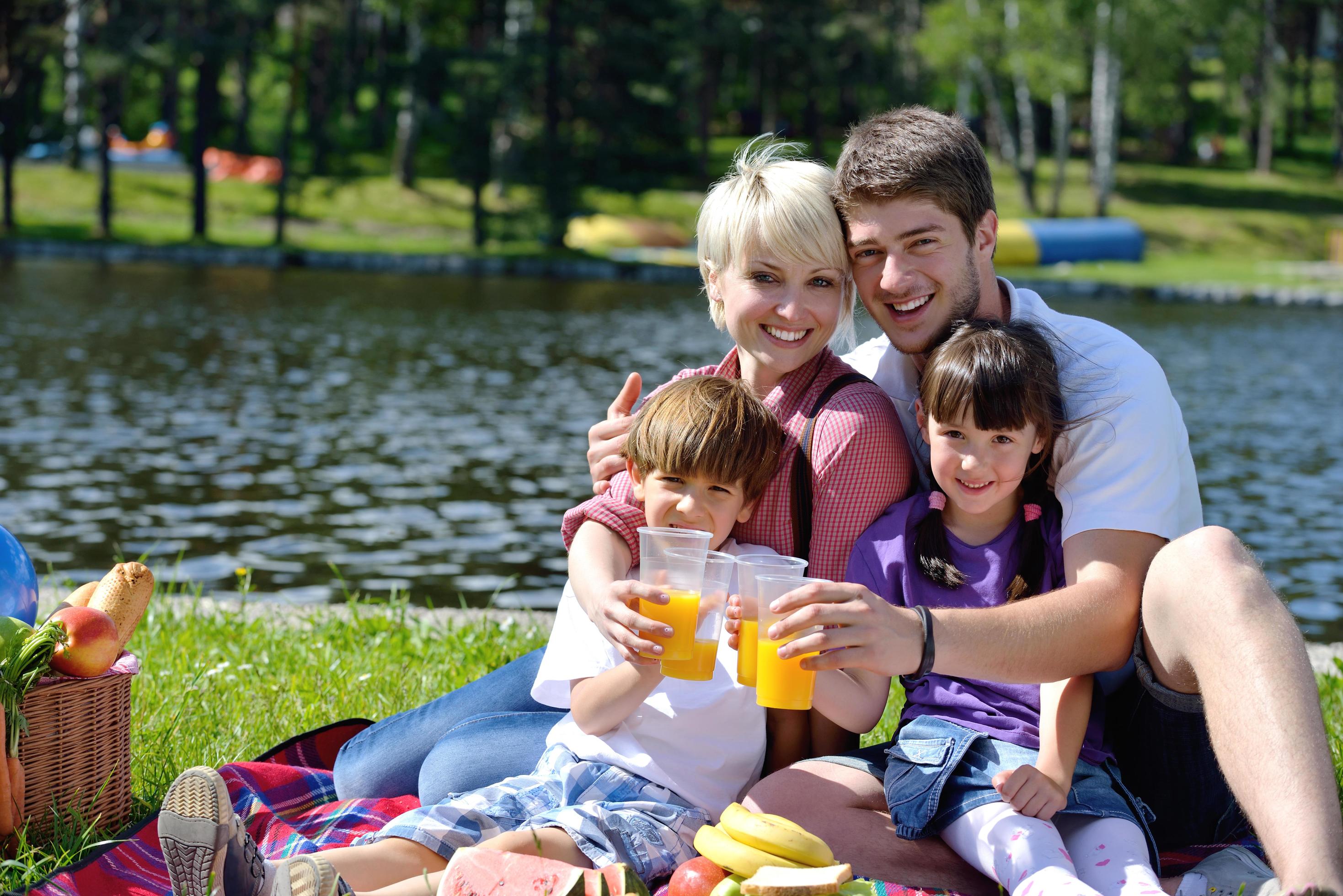 Happy family playing together in a picnic outdoors Stock Free