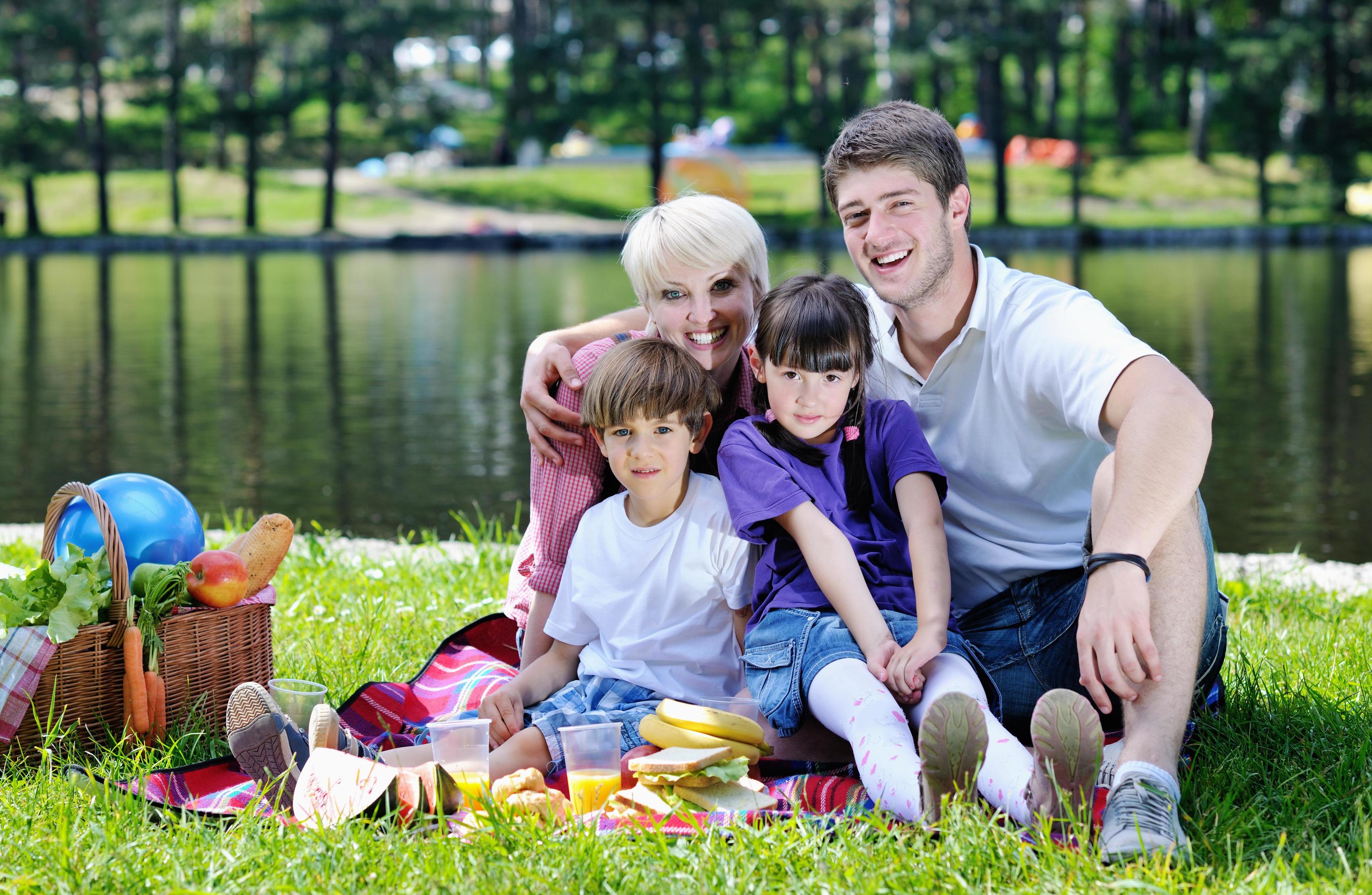 Happy family playing together in a picnic outdoors Stock Free