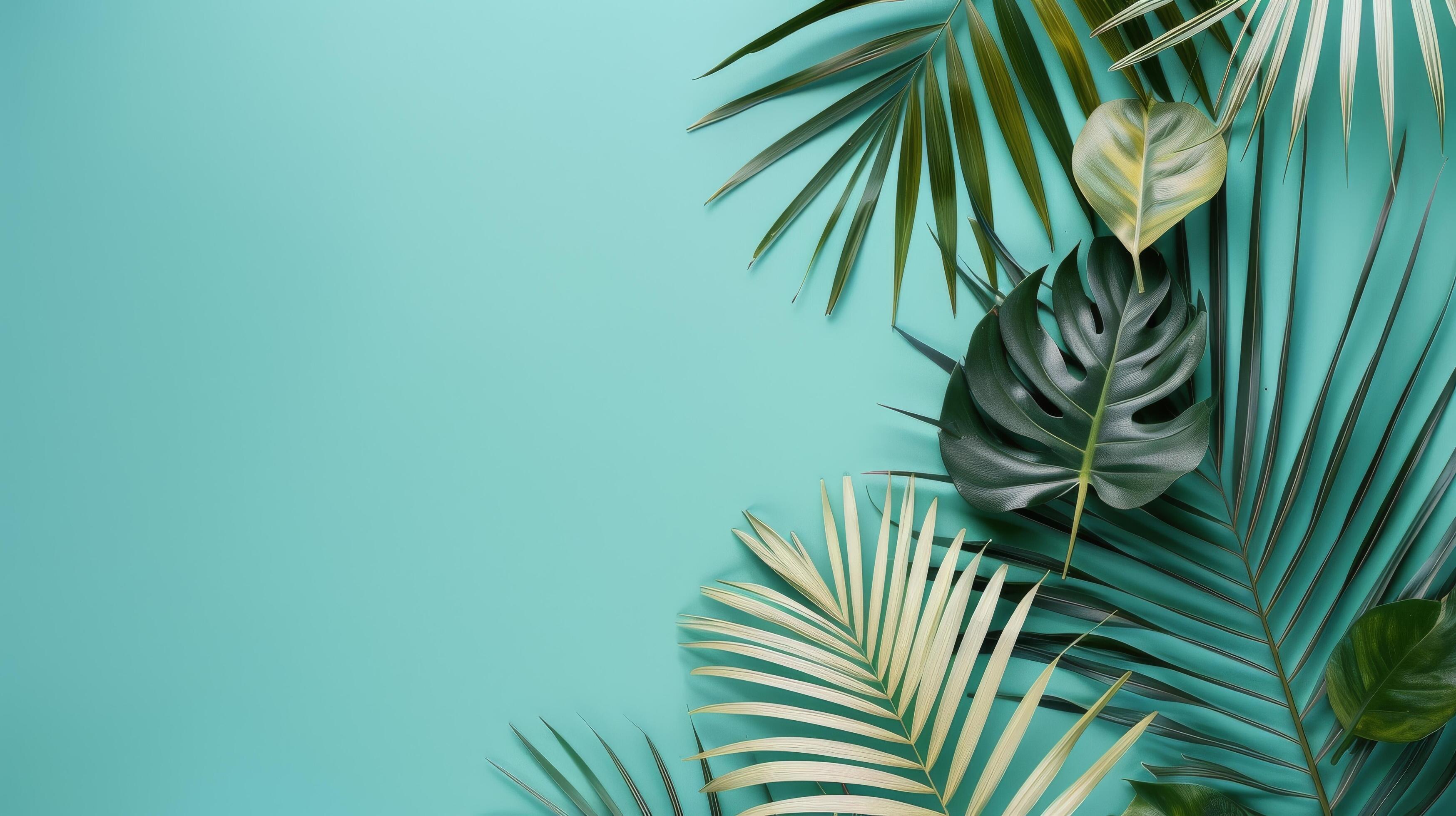 
									Tropical Leaf Arrangement on Turquoise Background Stock Free