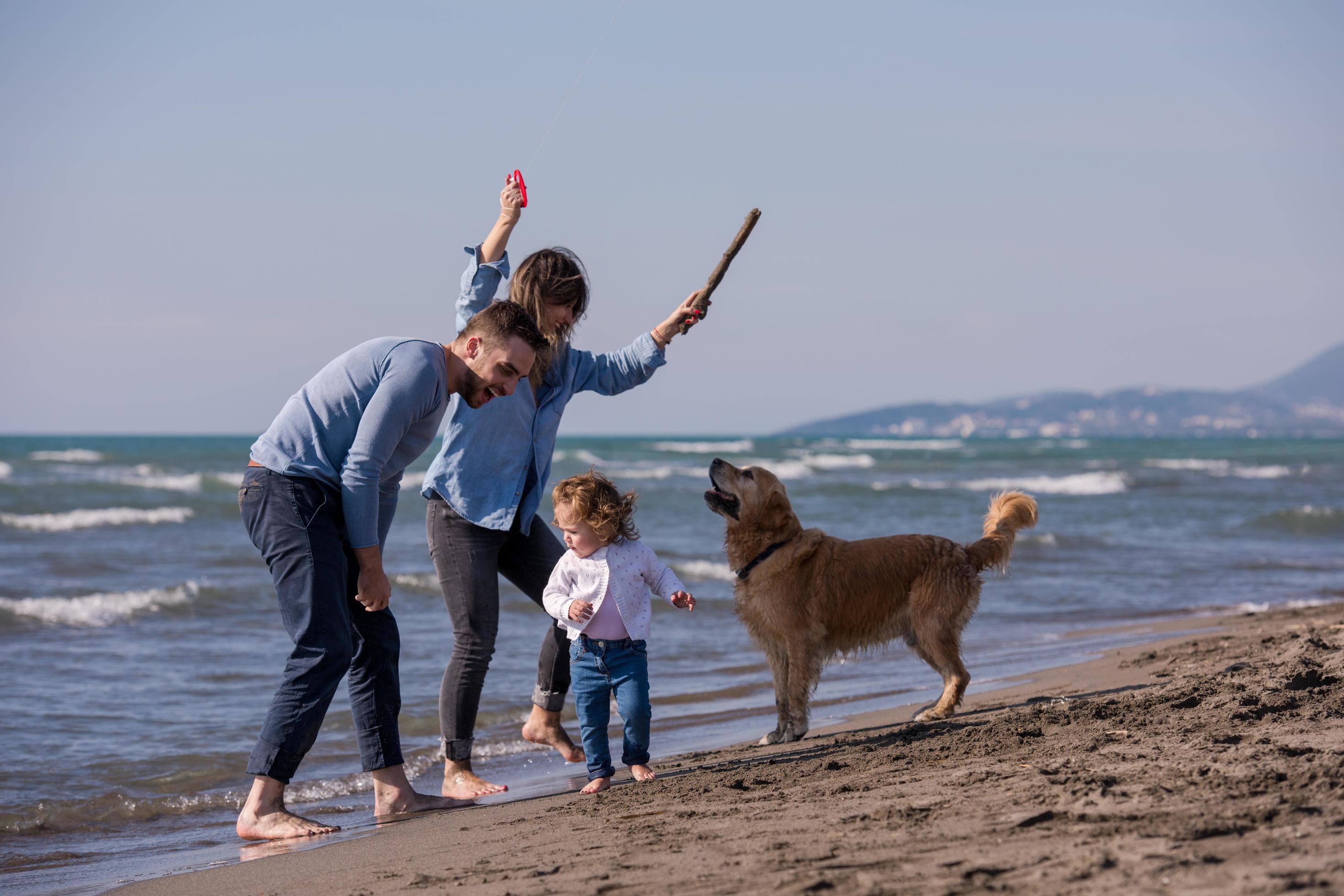 happy young family enjoying vecation during autumn day Stock Free