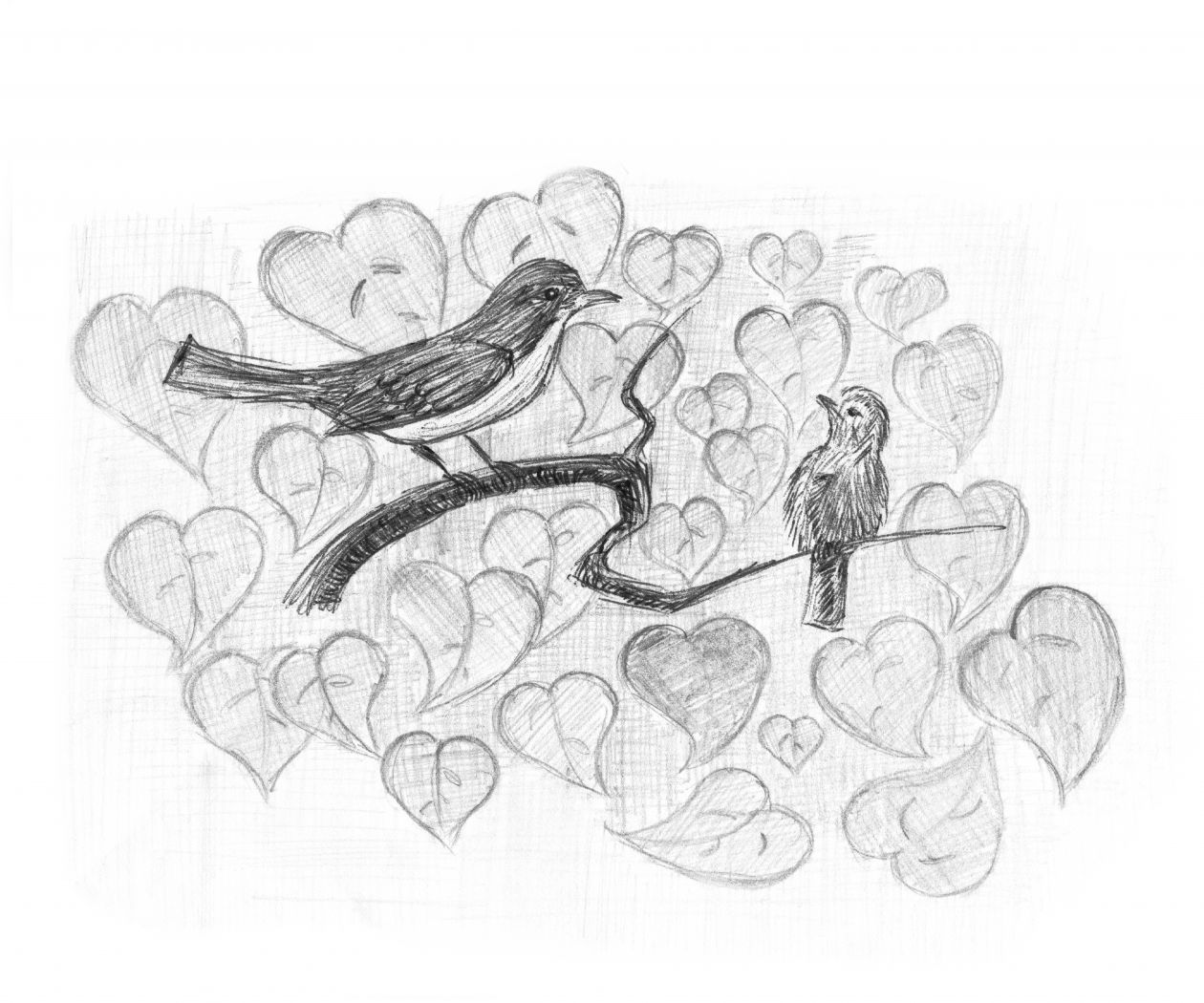 Redstart with nestling. Birds on a branch. Pencil sketch. Stock Free