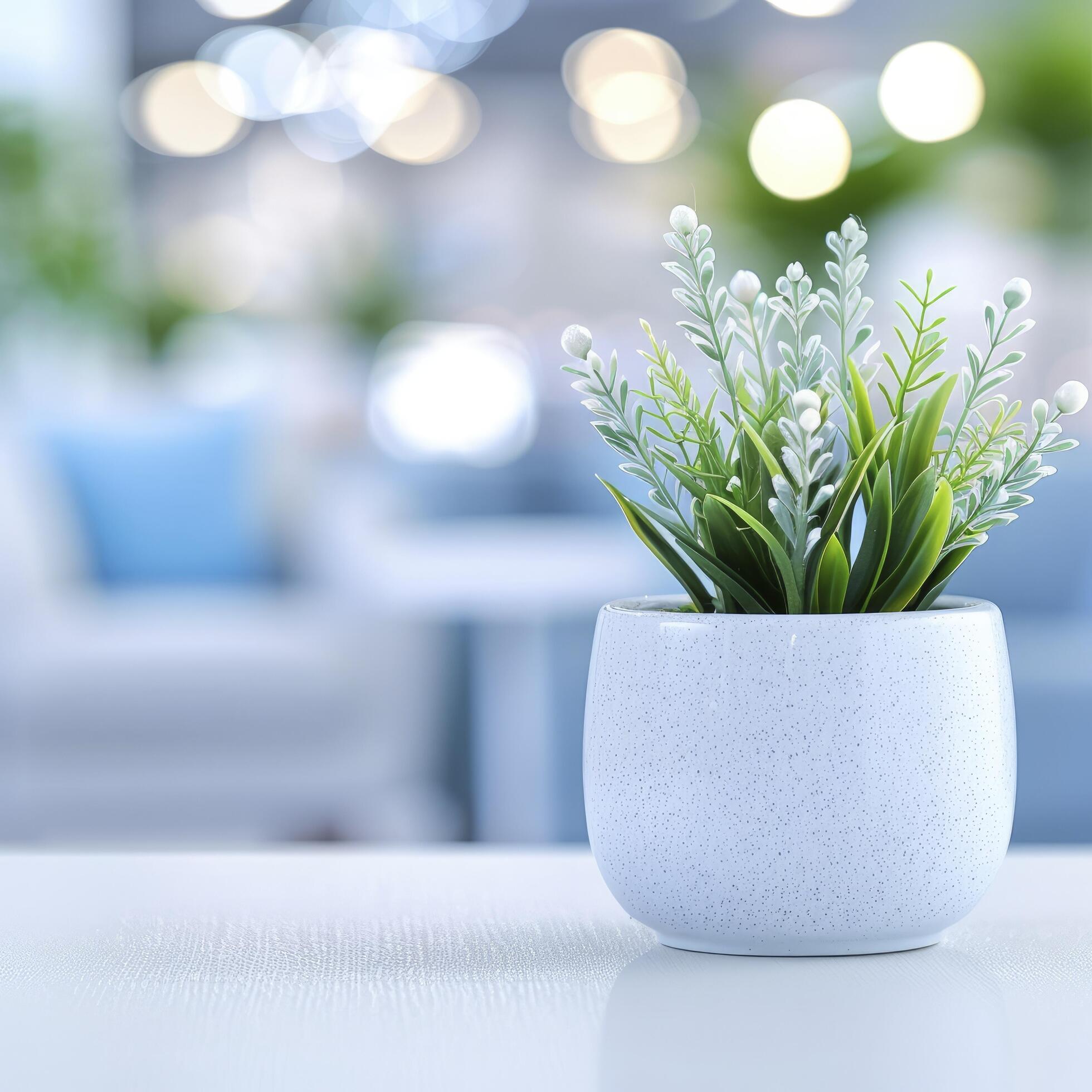 Table with potted plant in a modern office interior, with blurred background. Stock Free