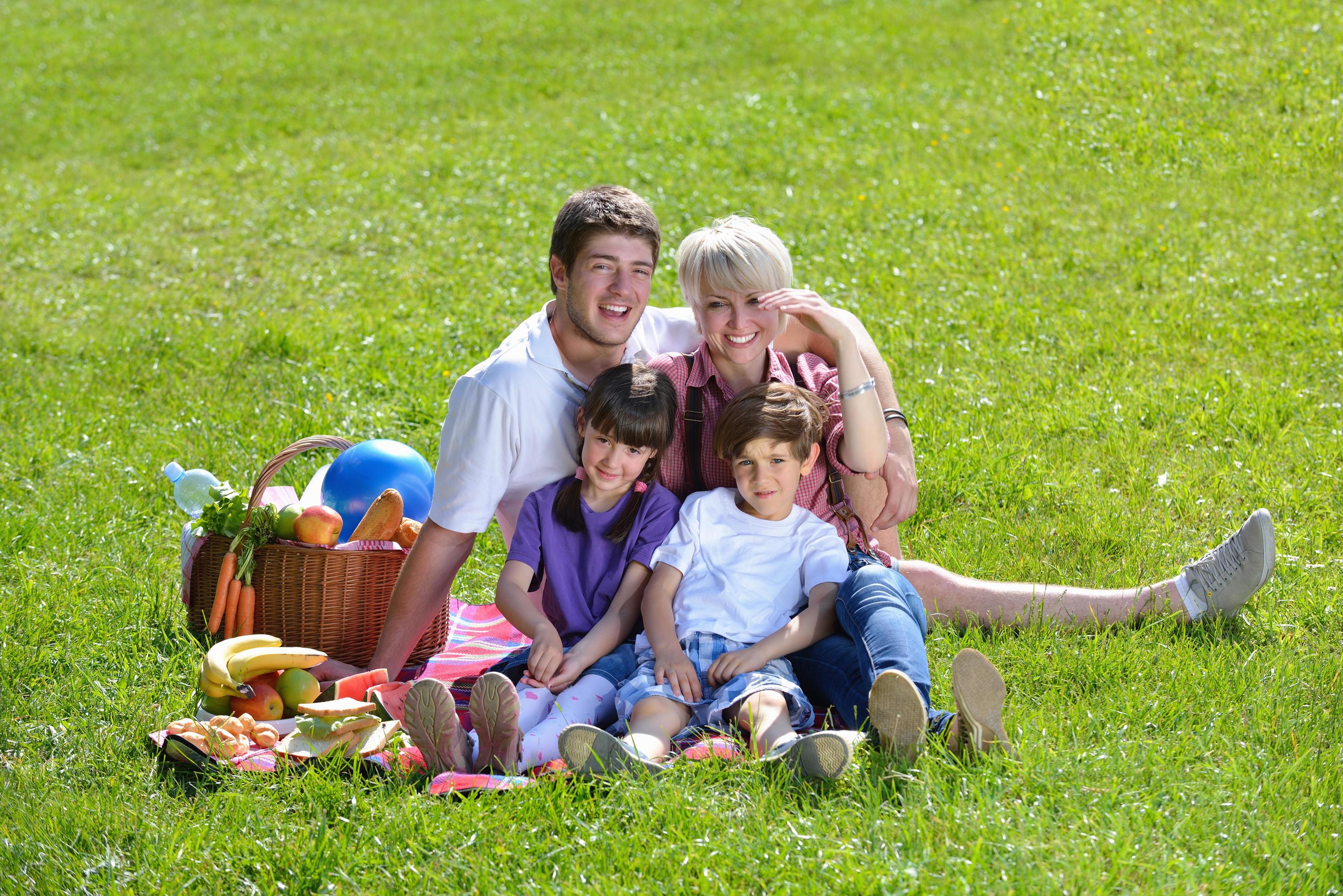 Happy family playing together in a picnic outdoors Stock Free