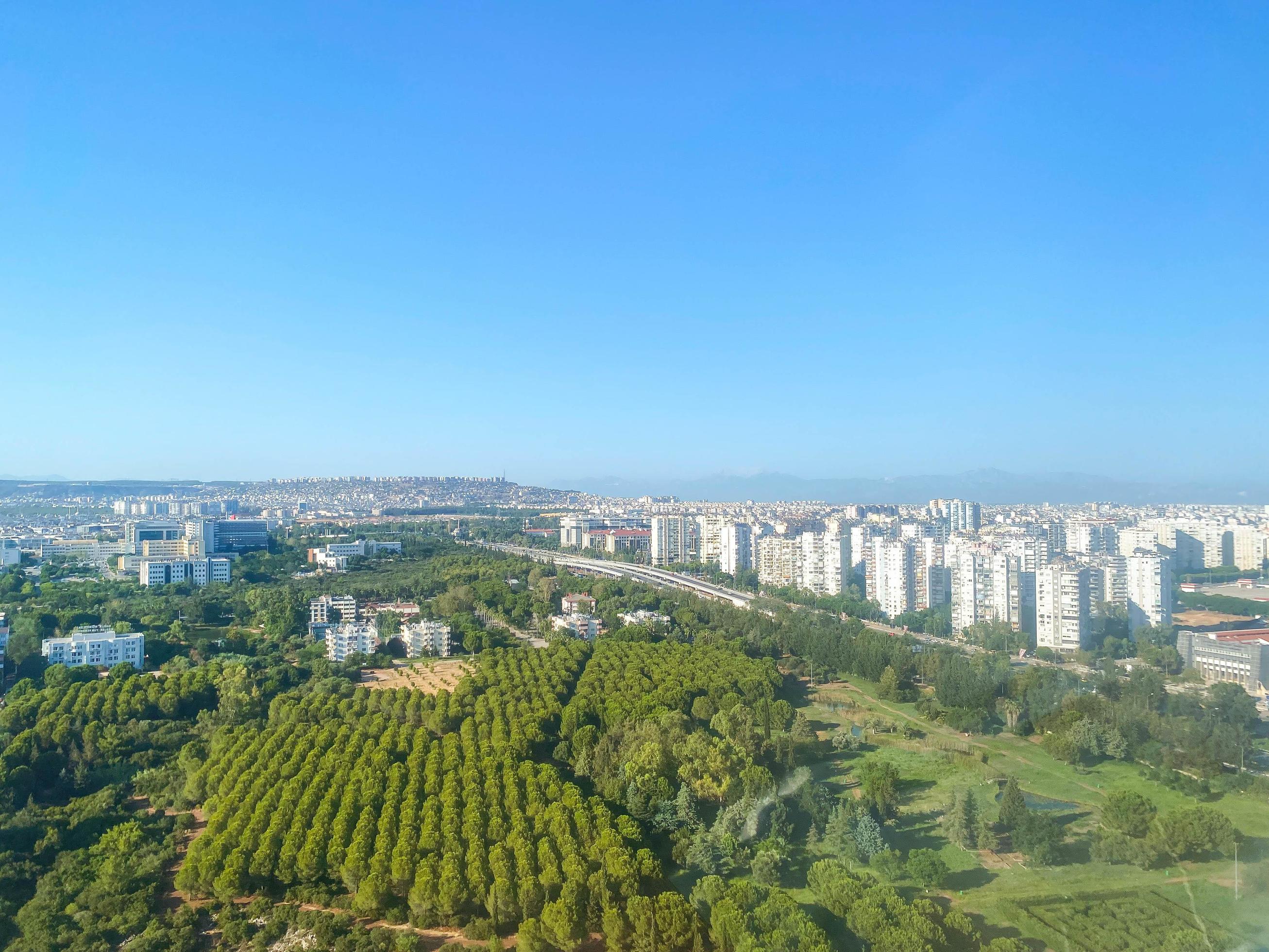 bird’s eye view. view of the city from the ferris wheel around the greenery and nature. neat trees trimmed the same way Stock Free