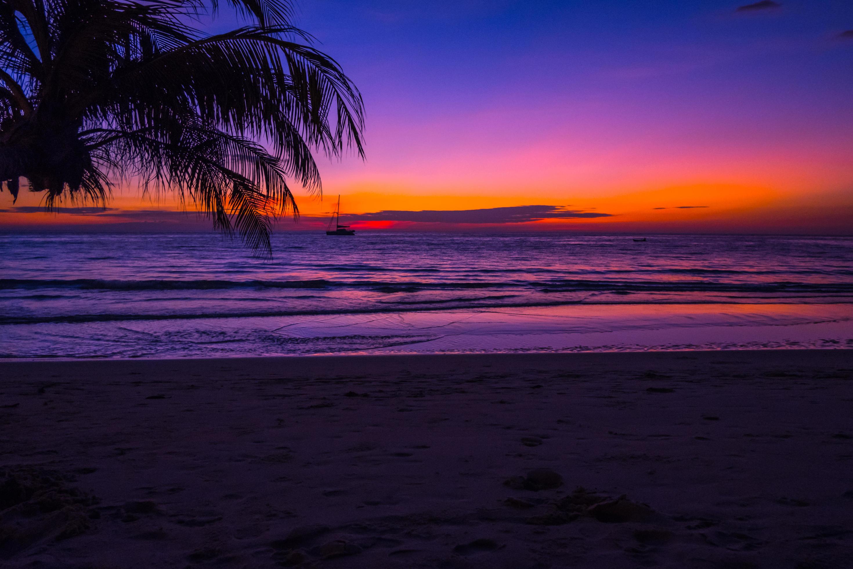 tropical palms tree on the beach of beautiful sunset on the sea with sky nature colorful background Stock Free