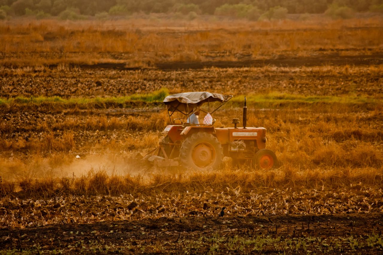 Farming In India Stock Free