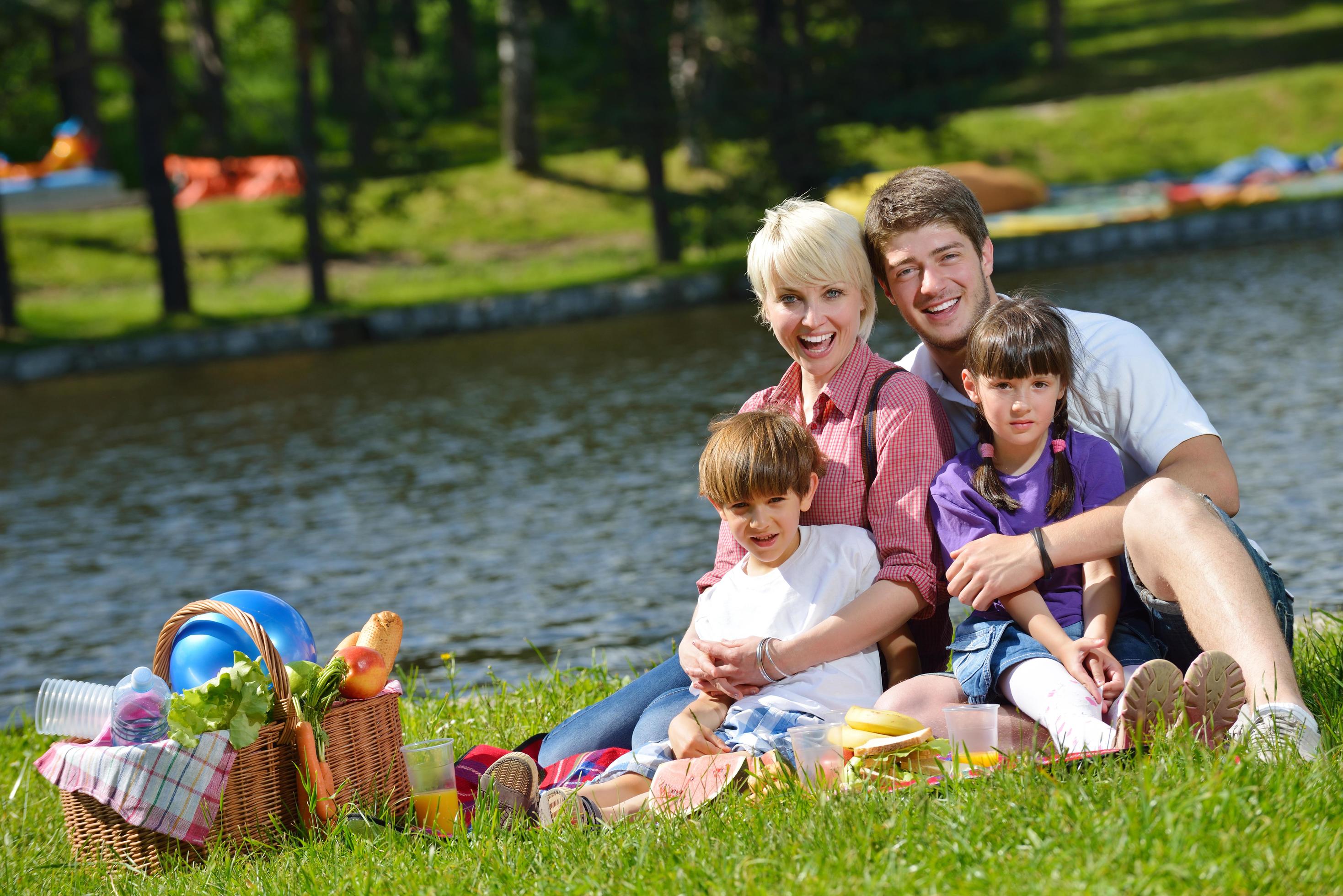 Happy family playing together in a picnic outdoors Stock Free