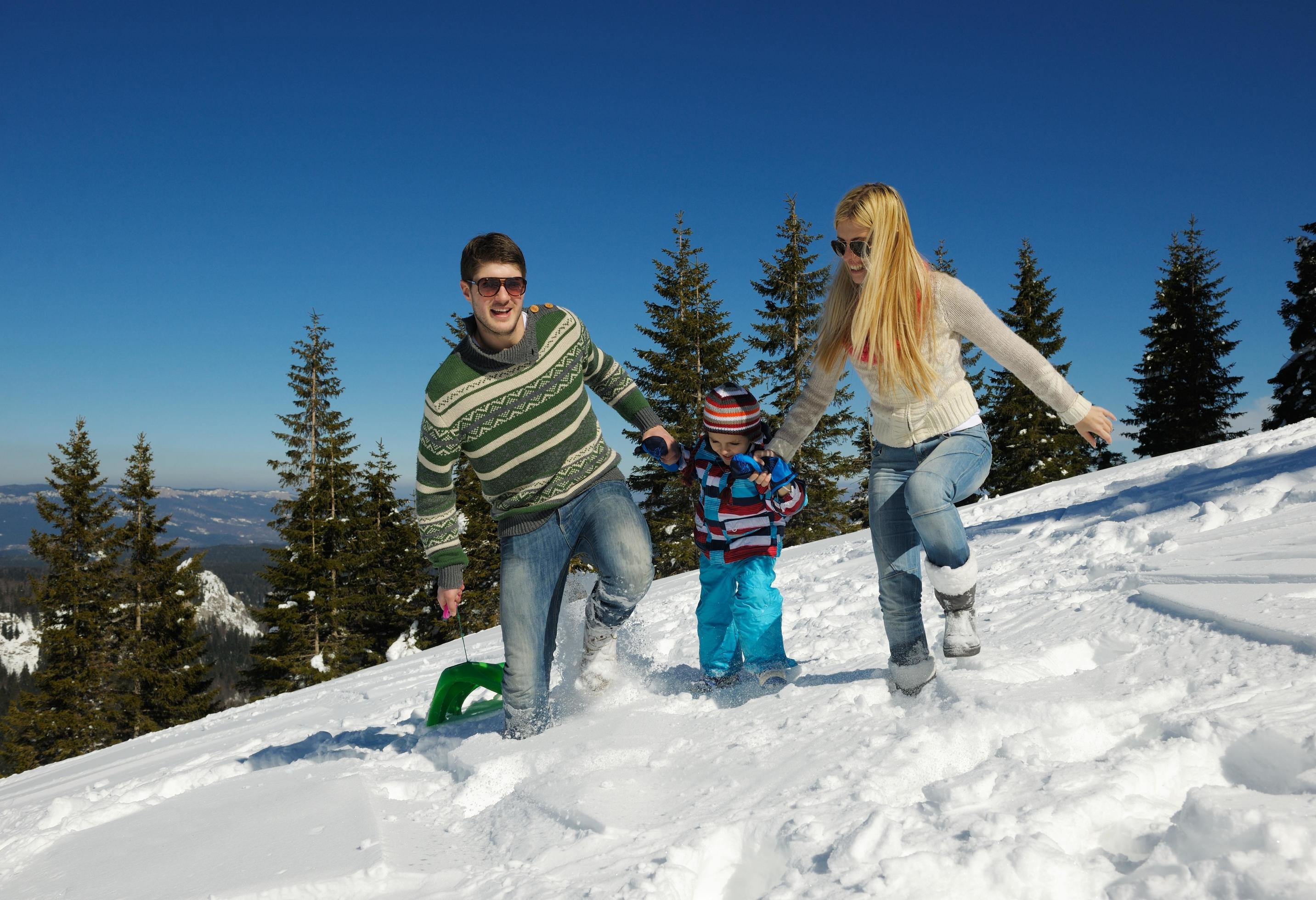 family having fun on fresh snow at winter Stock Free