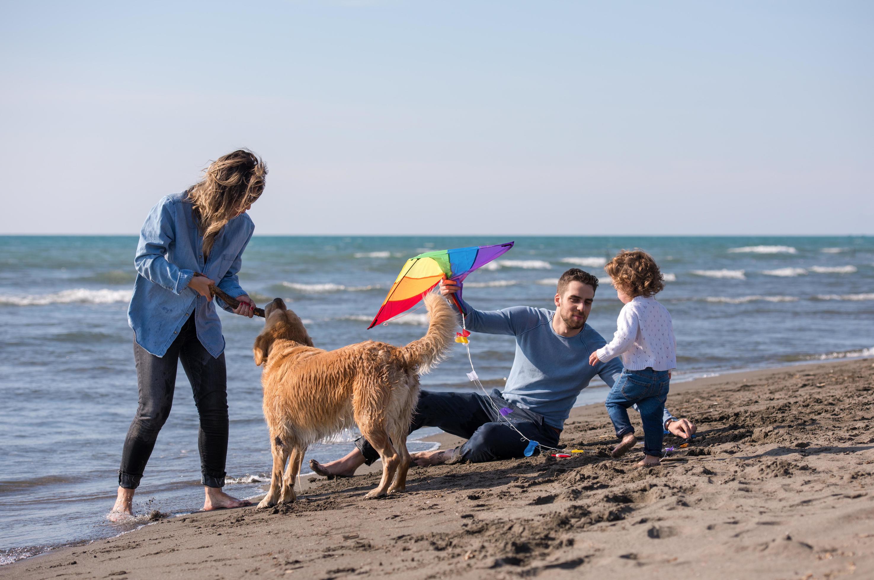 happy young family enjoying vecation during autumn day Stock Free