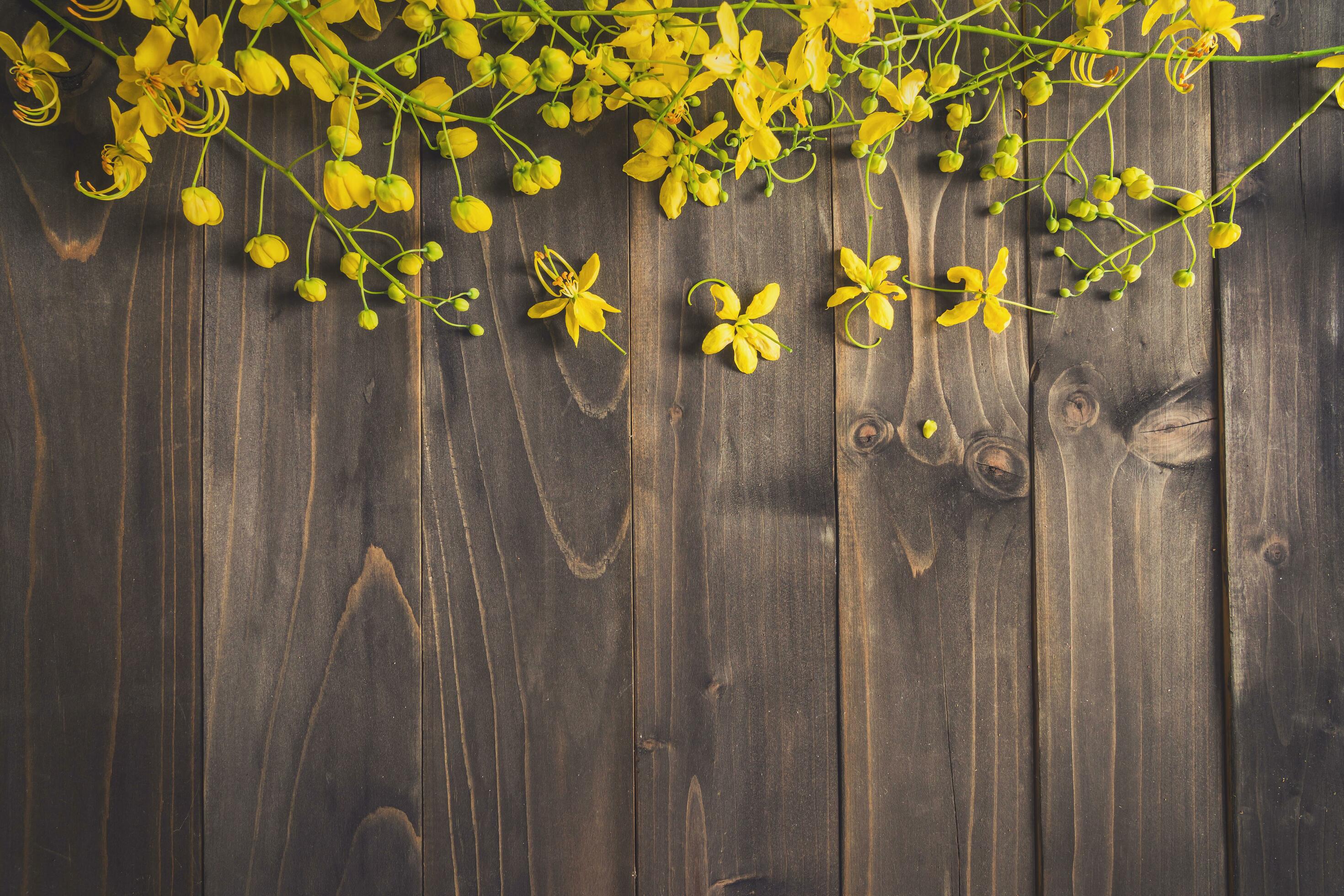 Yellow flower on wooden background with space with vintage toned. Stock Free