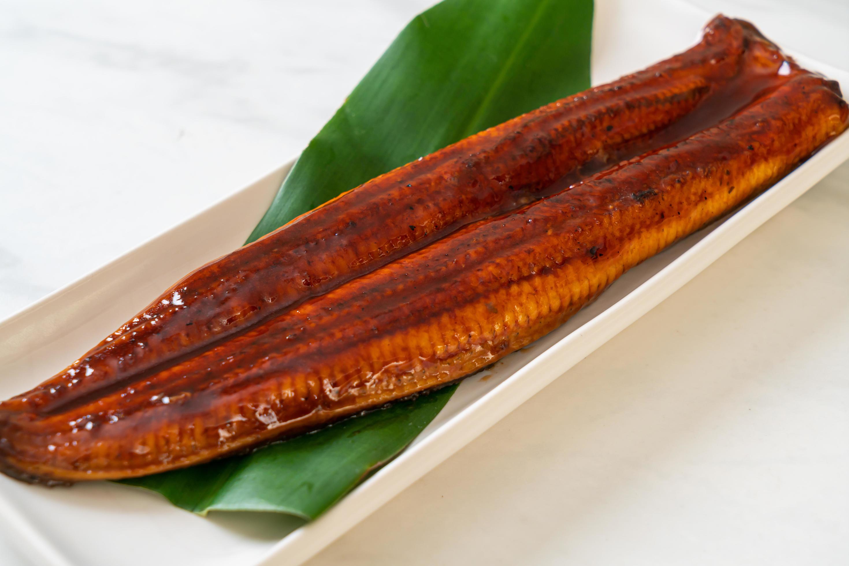 Grilled eel or grilled unagi with sauce – Kabayaki – Japanese food Stock Free