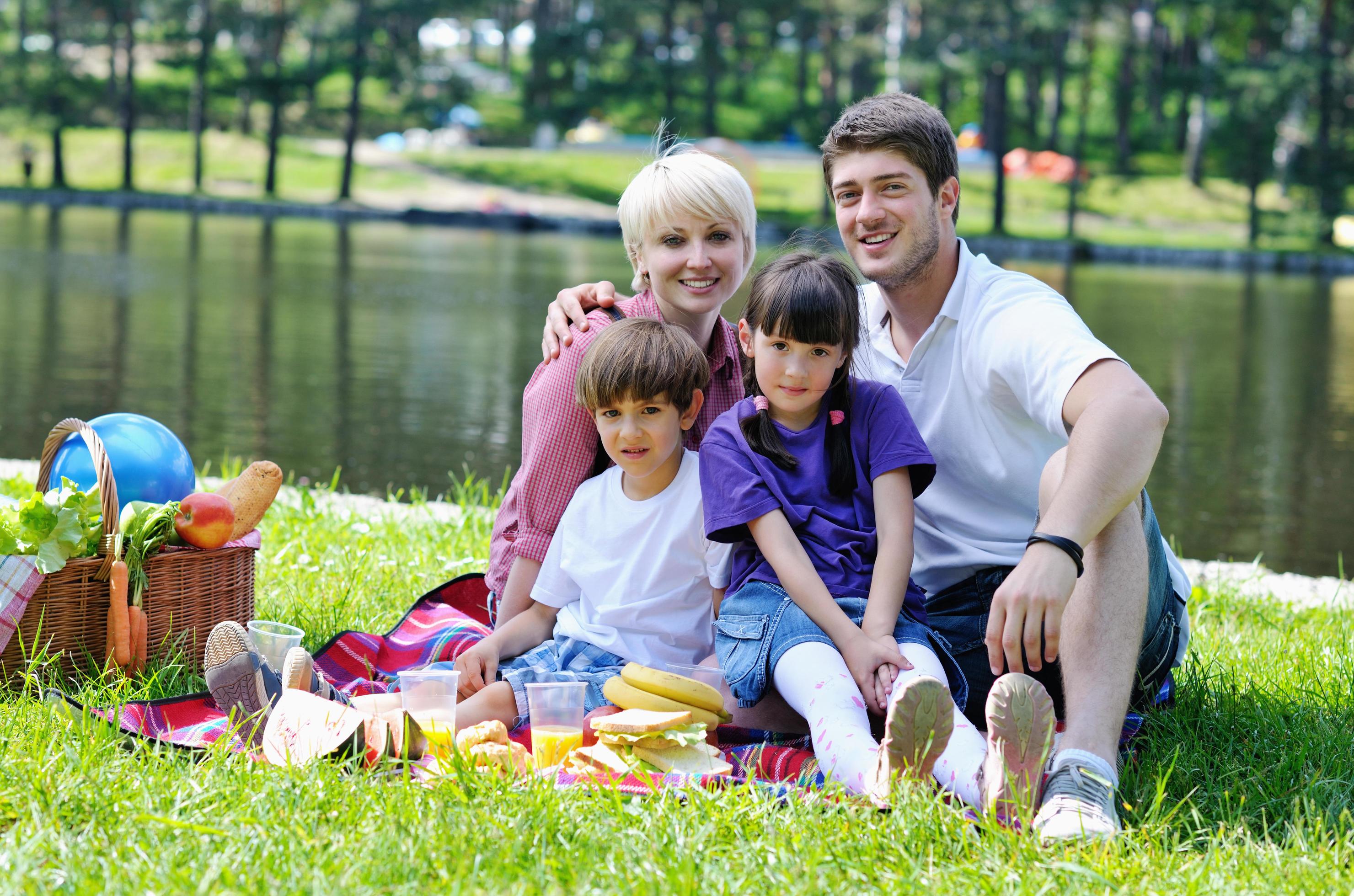 Happy family playing together in a picnic outdoors Stock Free