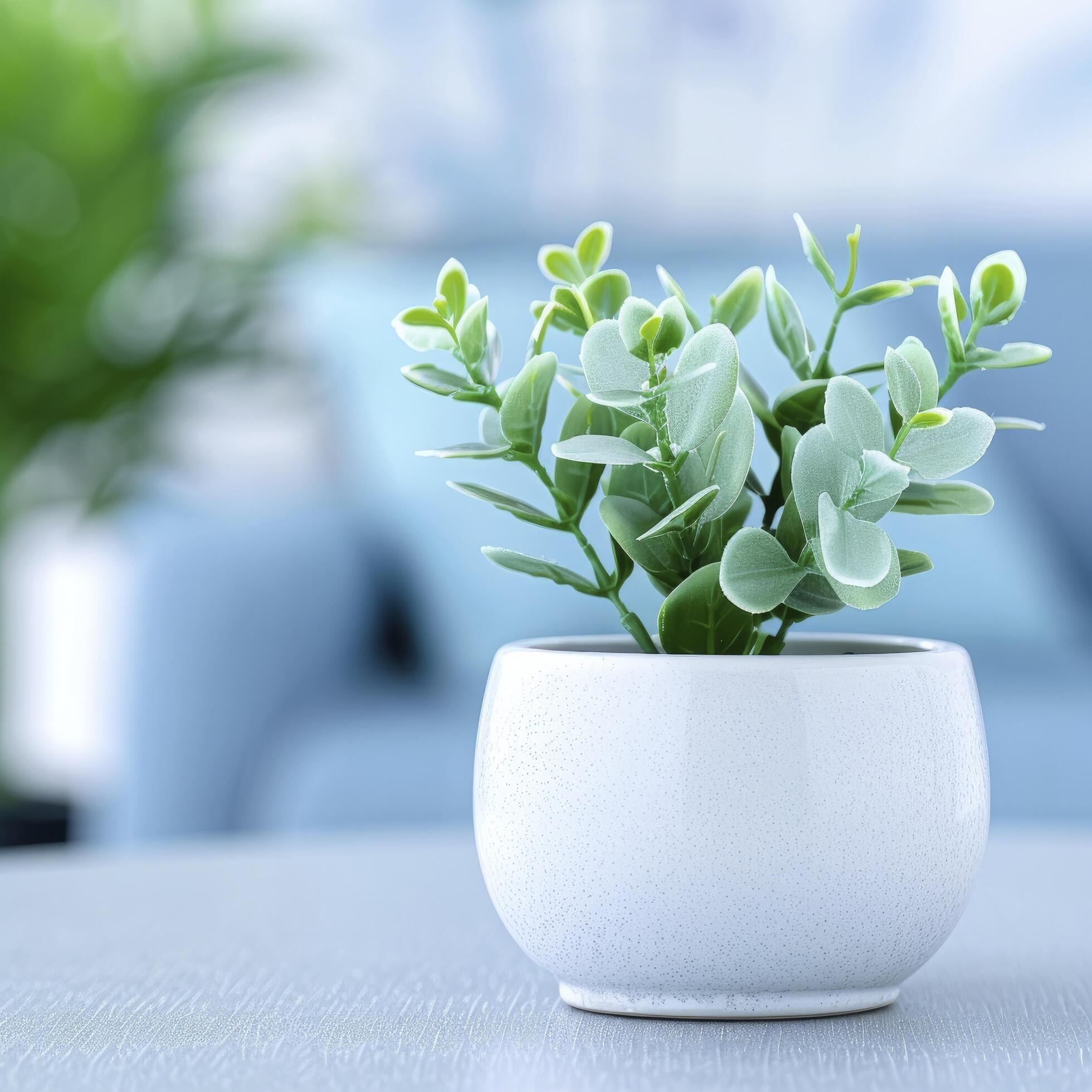 Table with potted plant in a modern office interior, with blurred background. Stock Free