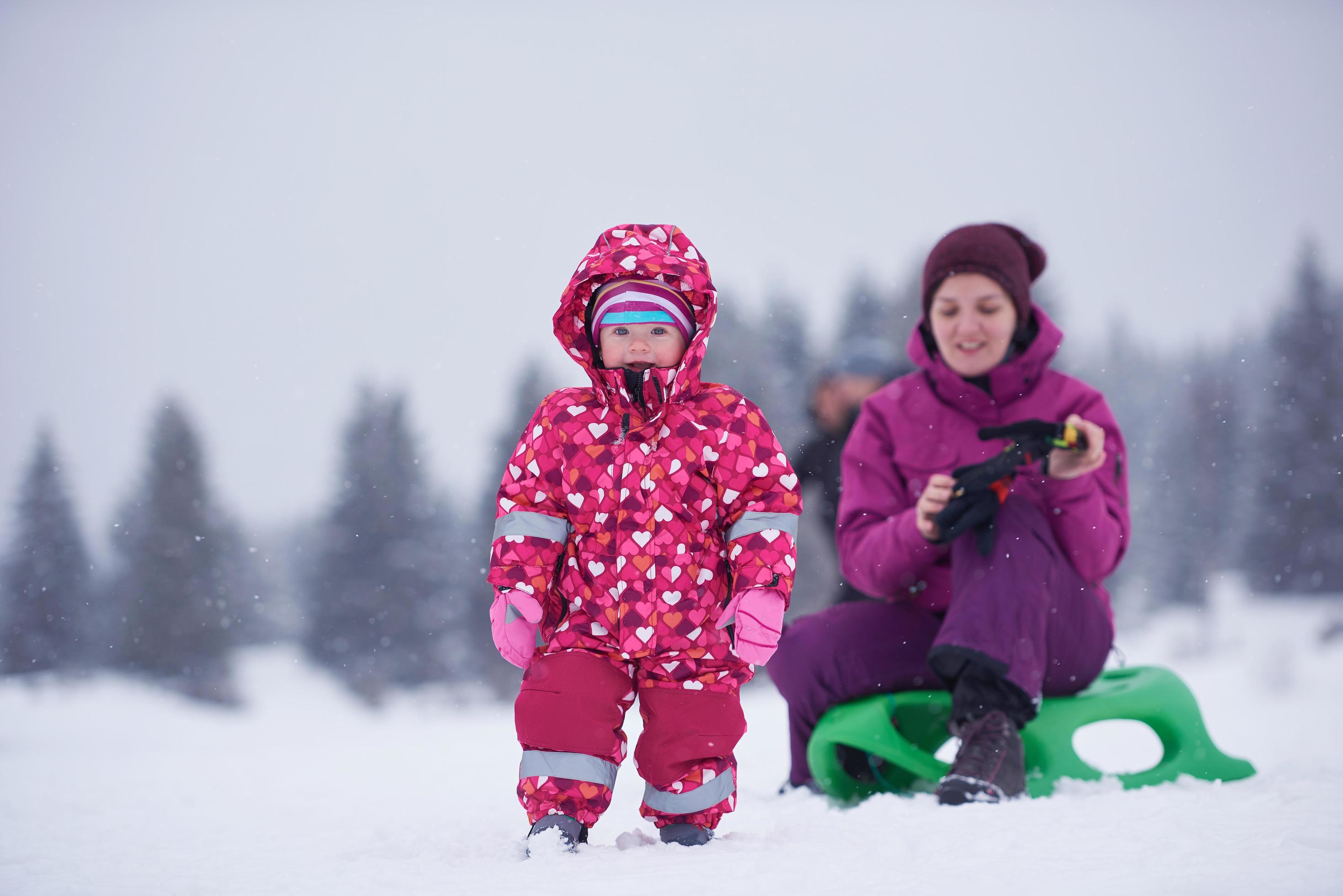 Family in winter landscape Stock Free