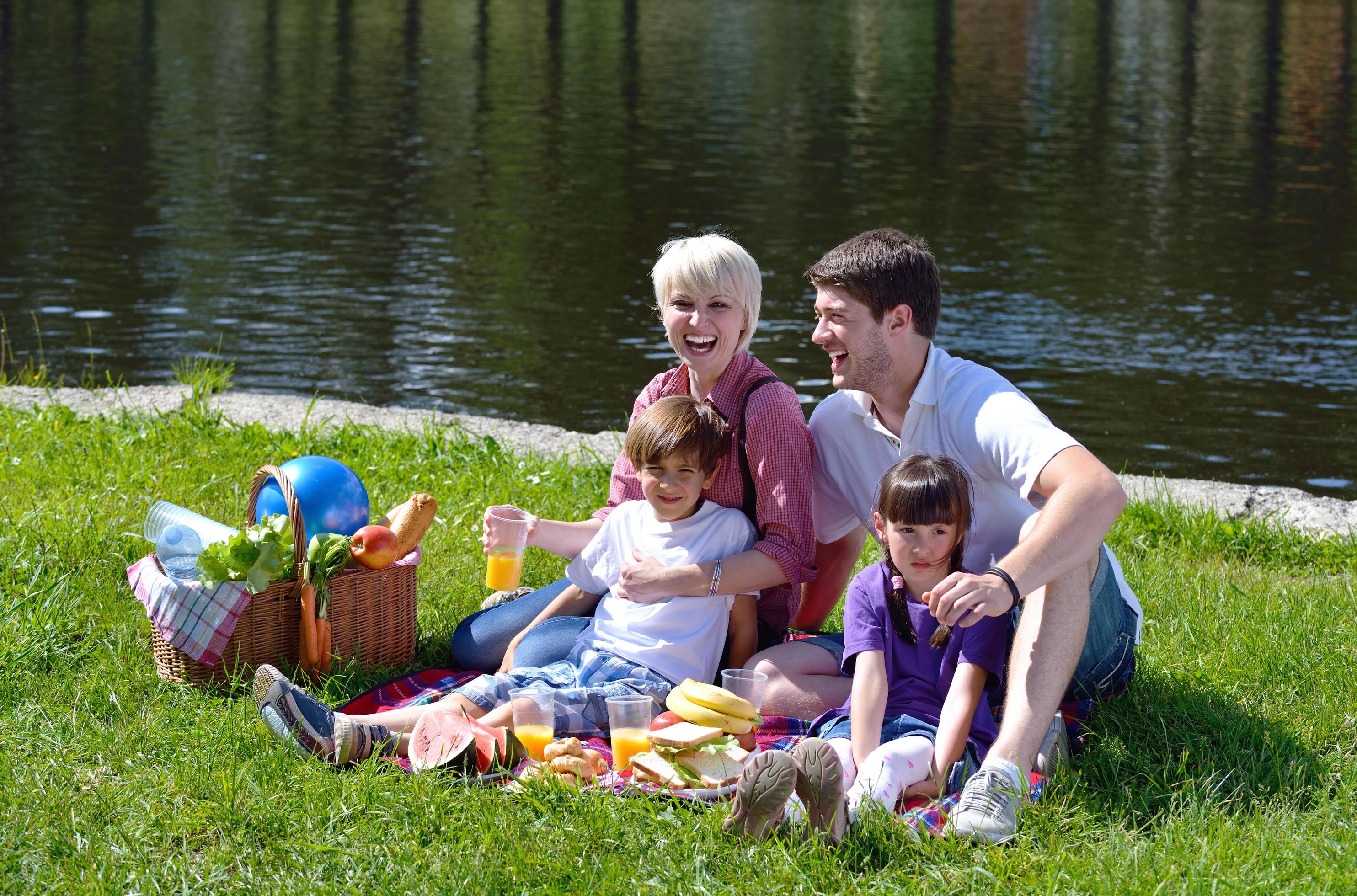 Happy family playing together in a picnic outdoors Stock Free