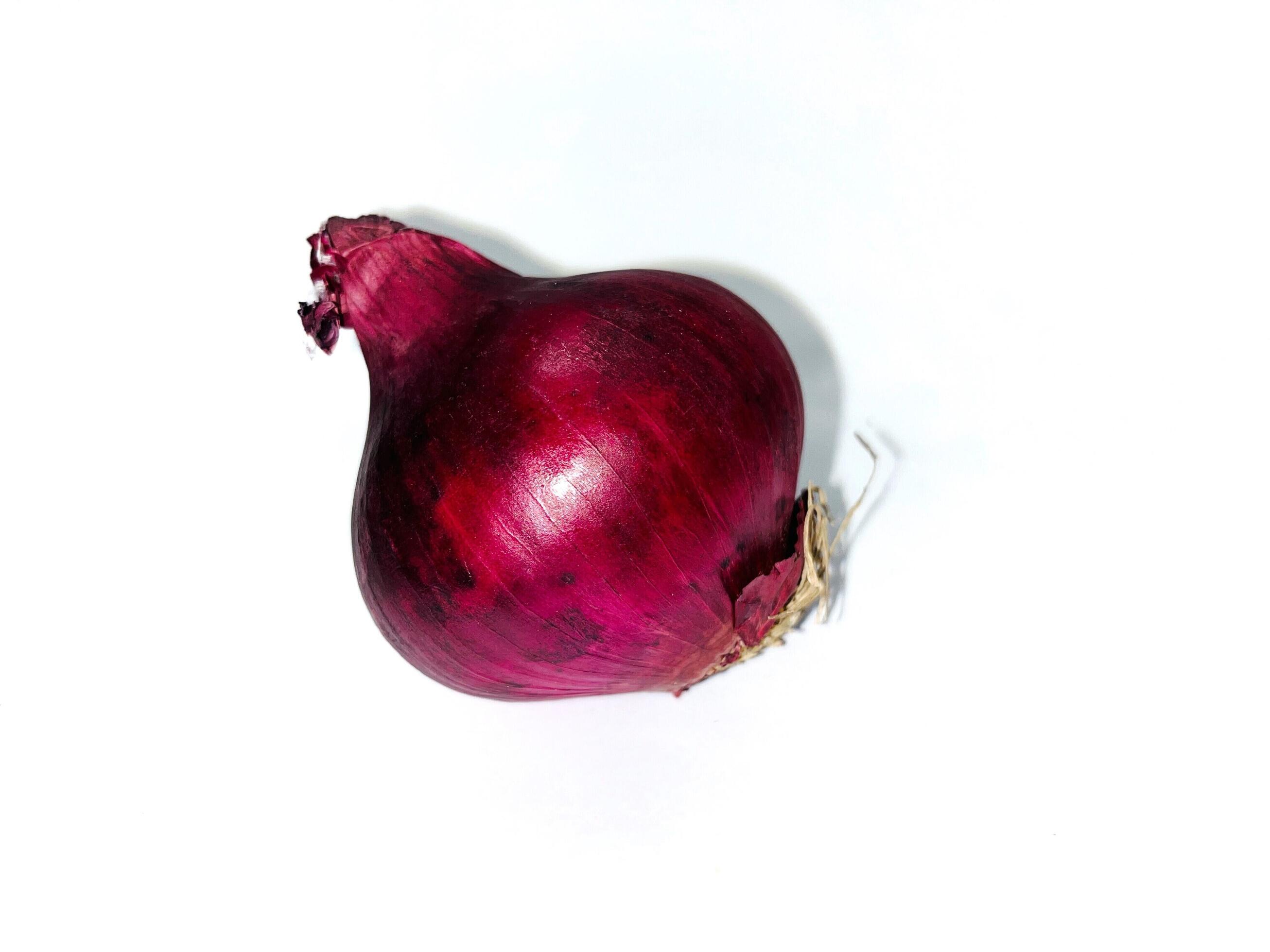 Red Onion. Whole red onion, isolated on white background Stock Free