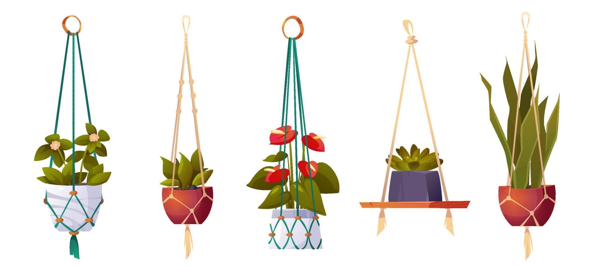 House plants in hanging pots, isolated flowers set Stock Free