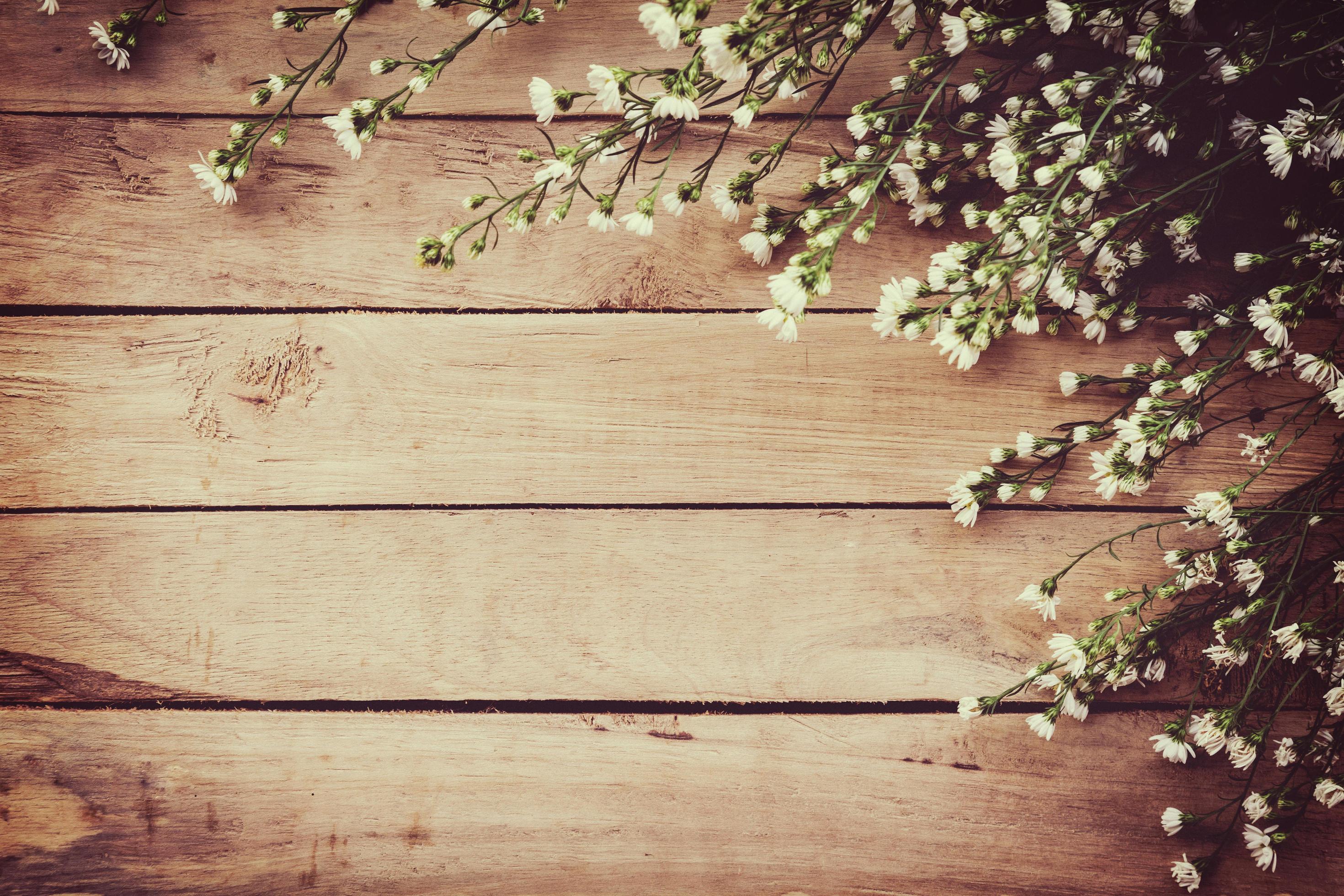 White flower on grunge wood board background with space. Stock Free