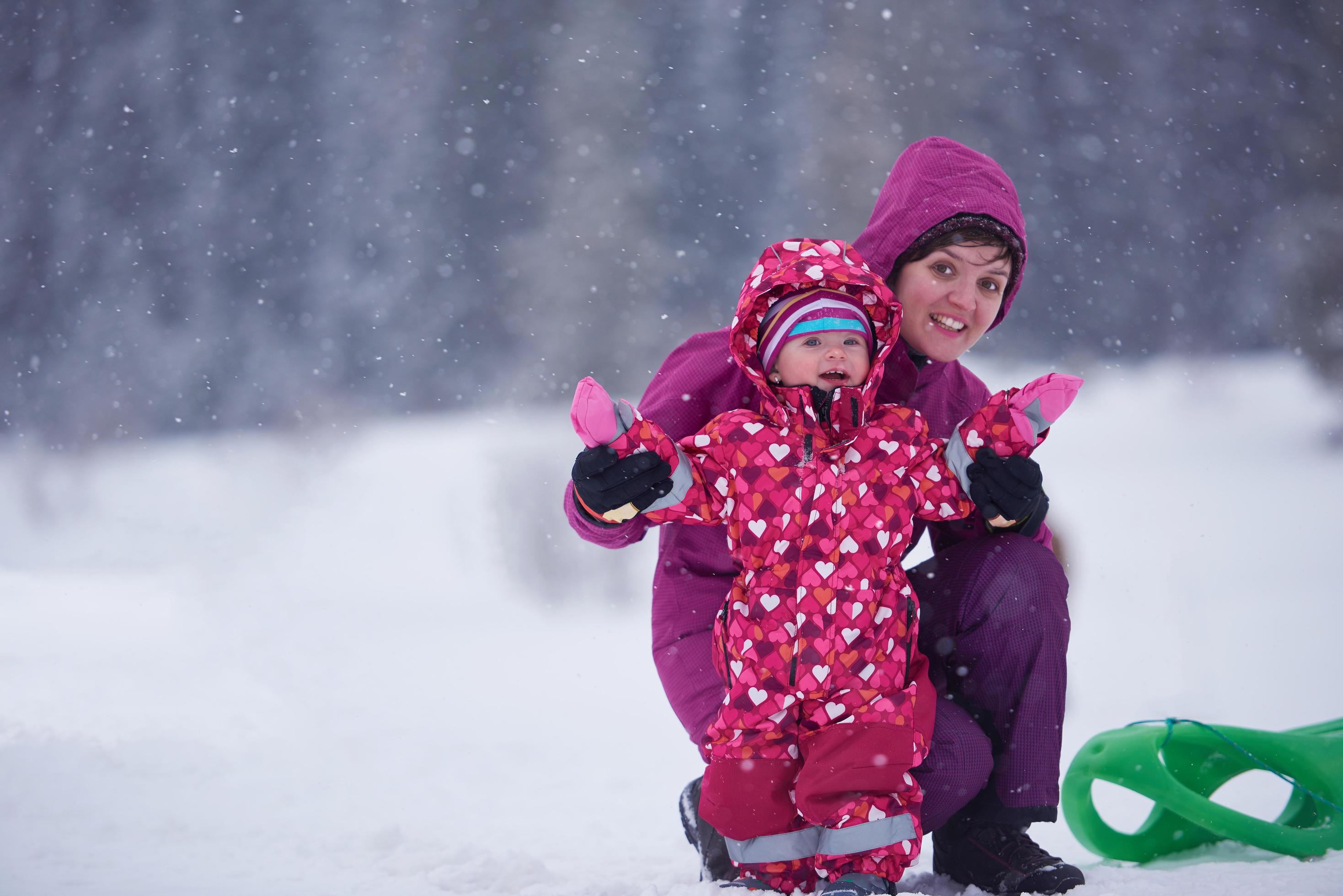 Family in winter landscape Stock Free