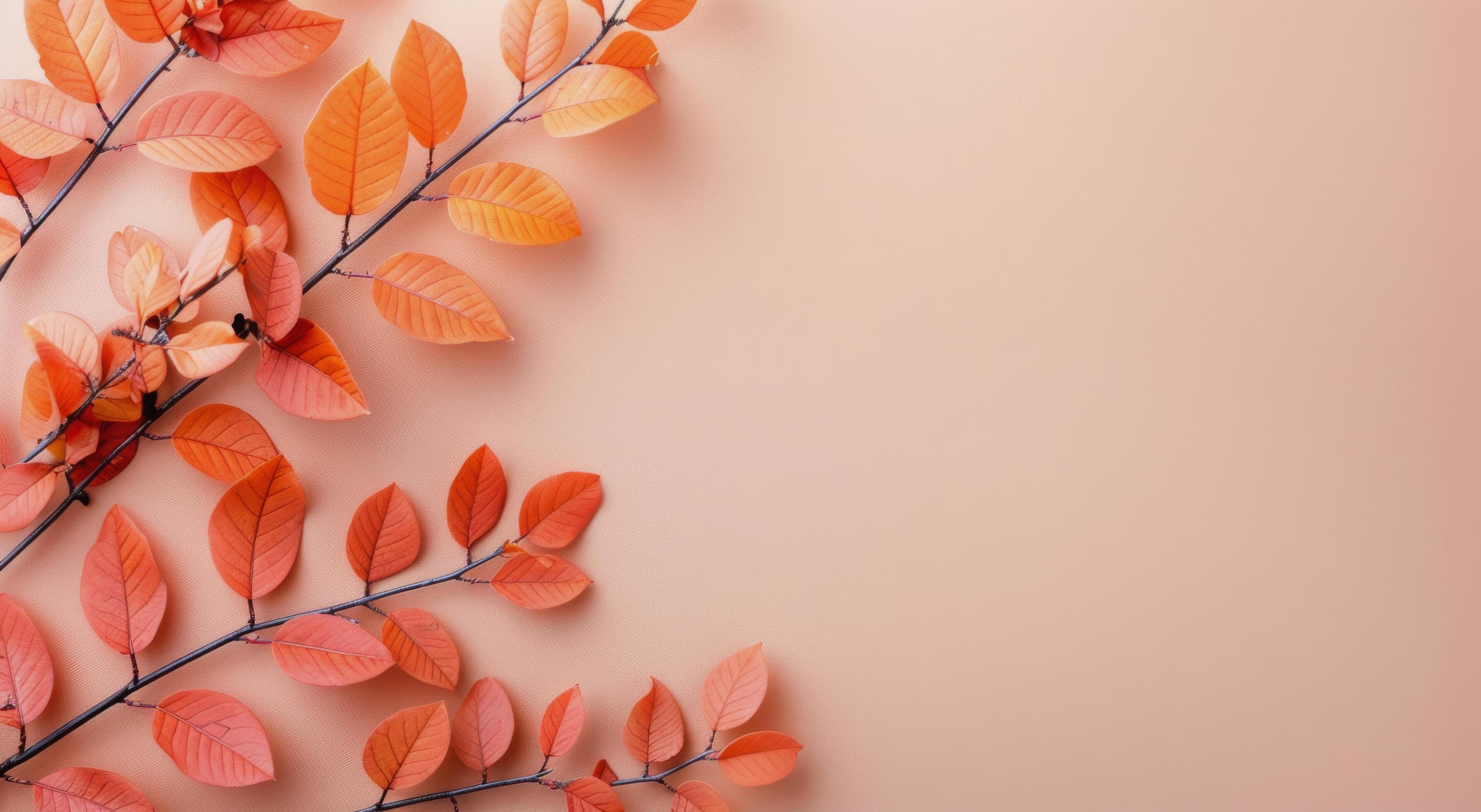 Pink Flowers and Leaves on Peach Background Stock Free